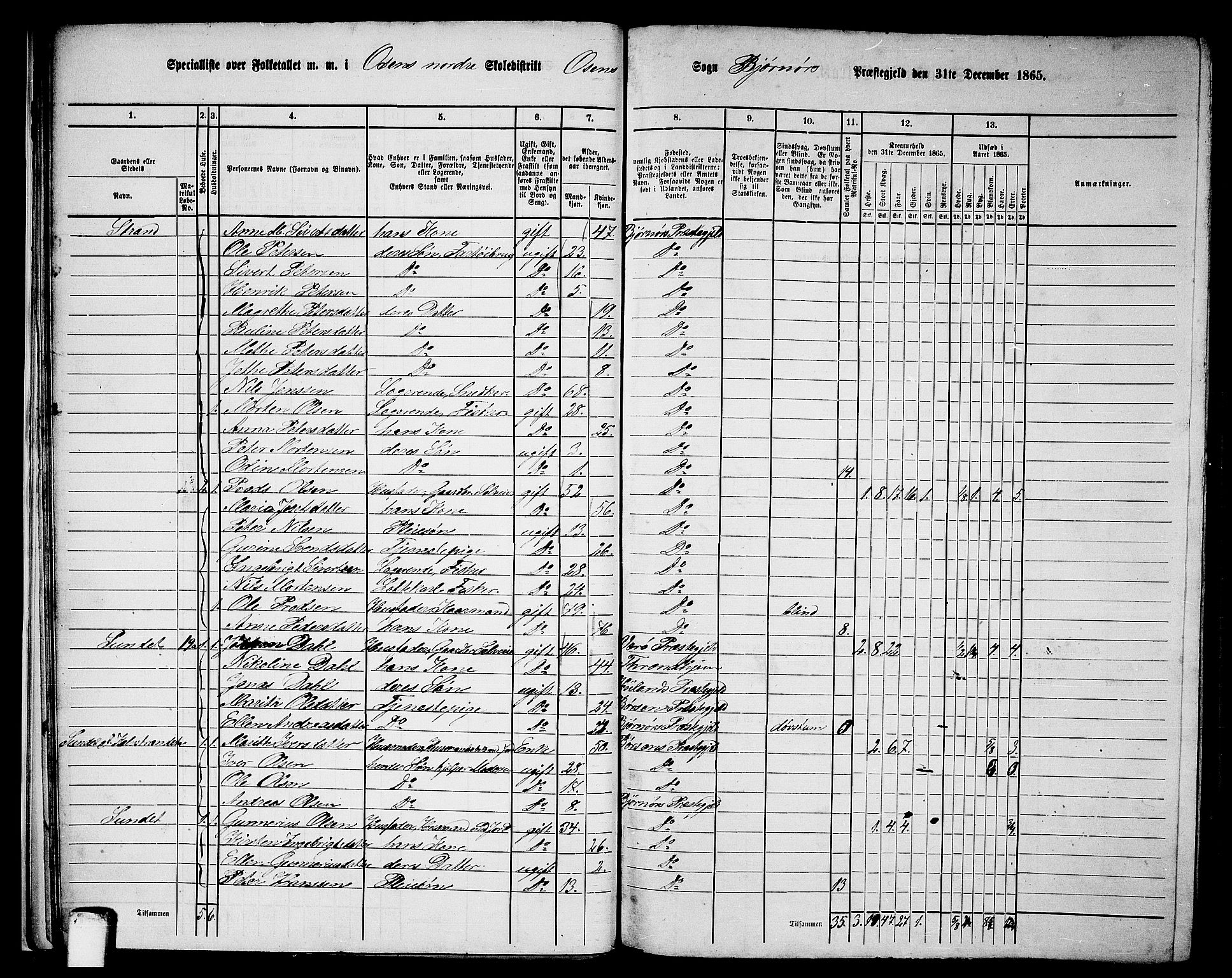 RA, 1865 census for Bjørnør, 1865, p. 21