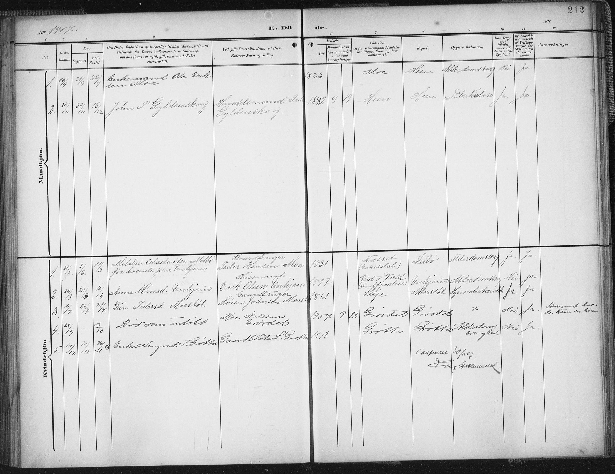 Ministerialprotokoller, klokkerbøker og fødselsregistre - Møre og Romsdal, SAT/A-1454/545/L0589: Parish register (copy) no. 545C03, 1902-1937, p. 212