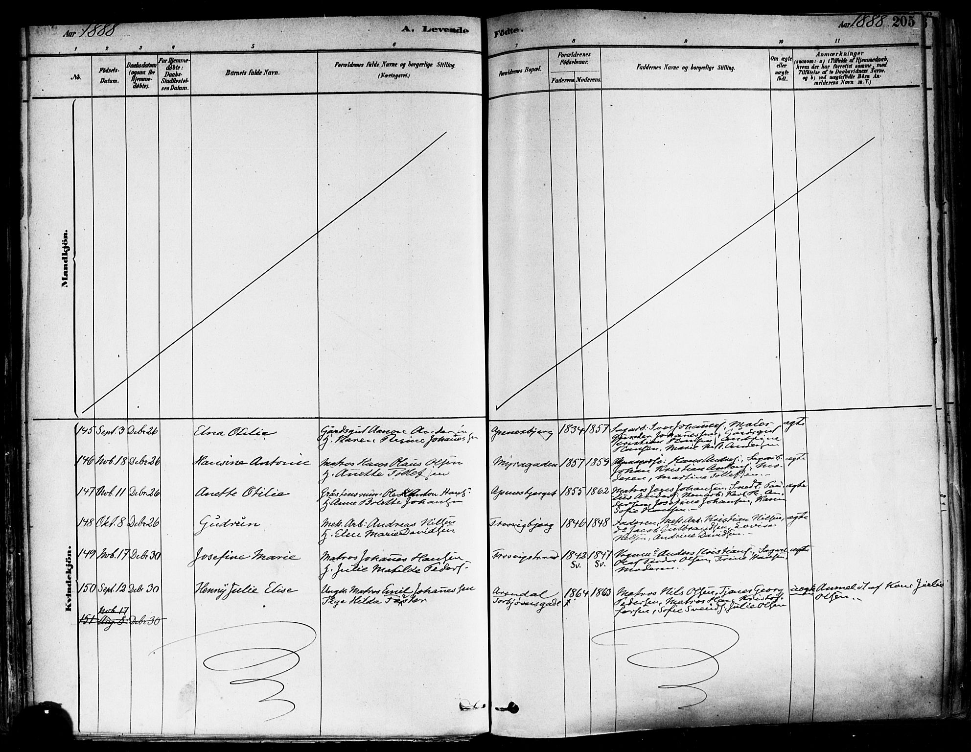 Fredrikstad domkirkes prestekontor Kirkebøker, AV/SAO-A-10906/F/Fa/L0002: Parish register (official) no. 2, 1878-1894, p. 205