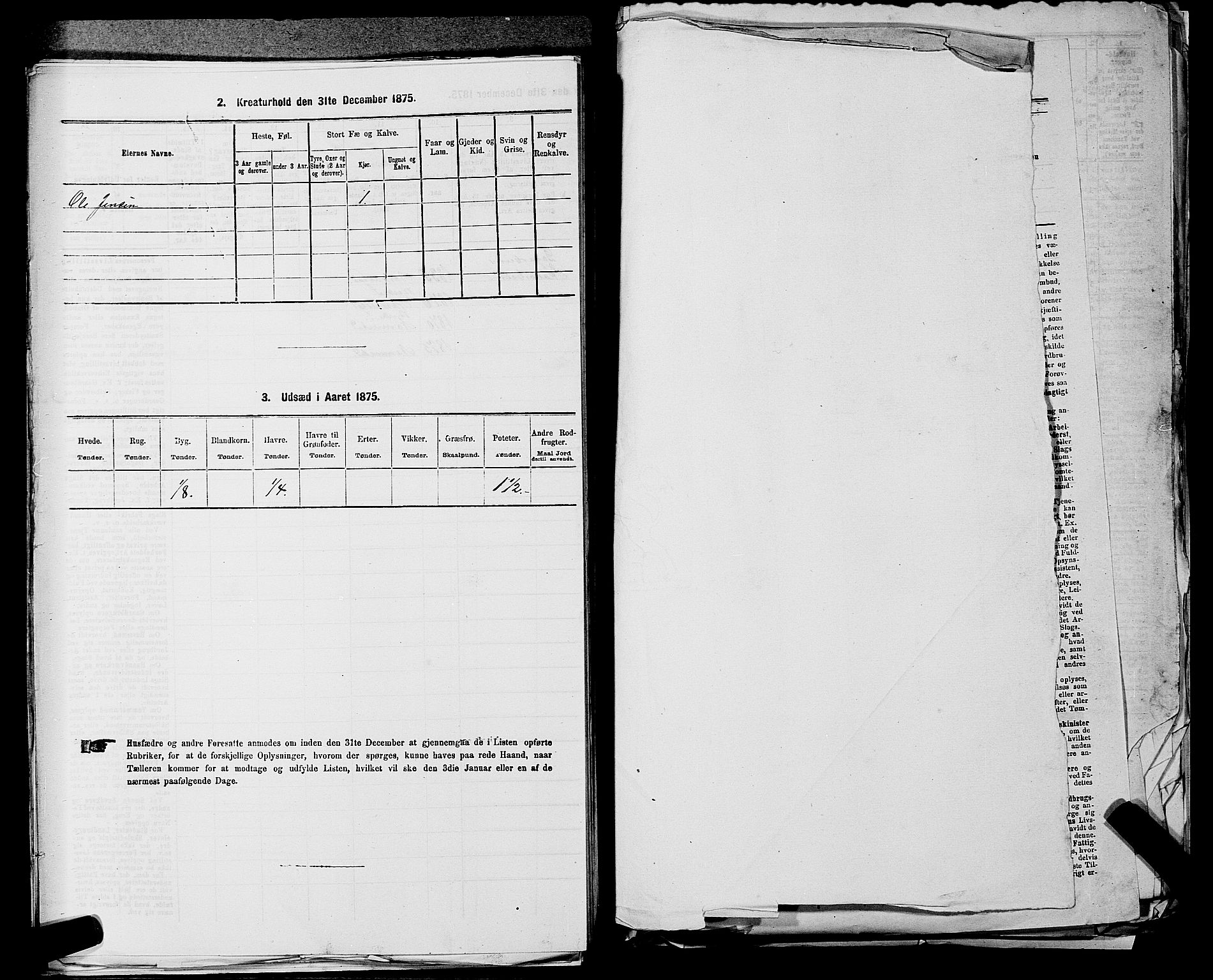 RA, 1875 census for 0238P Nannestad, 1875, p. 563