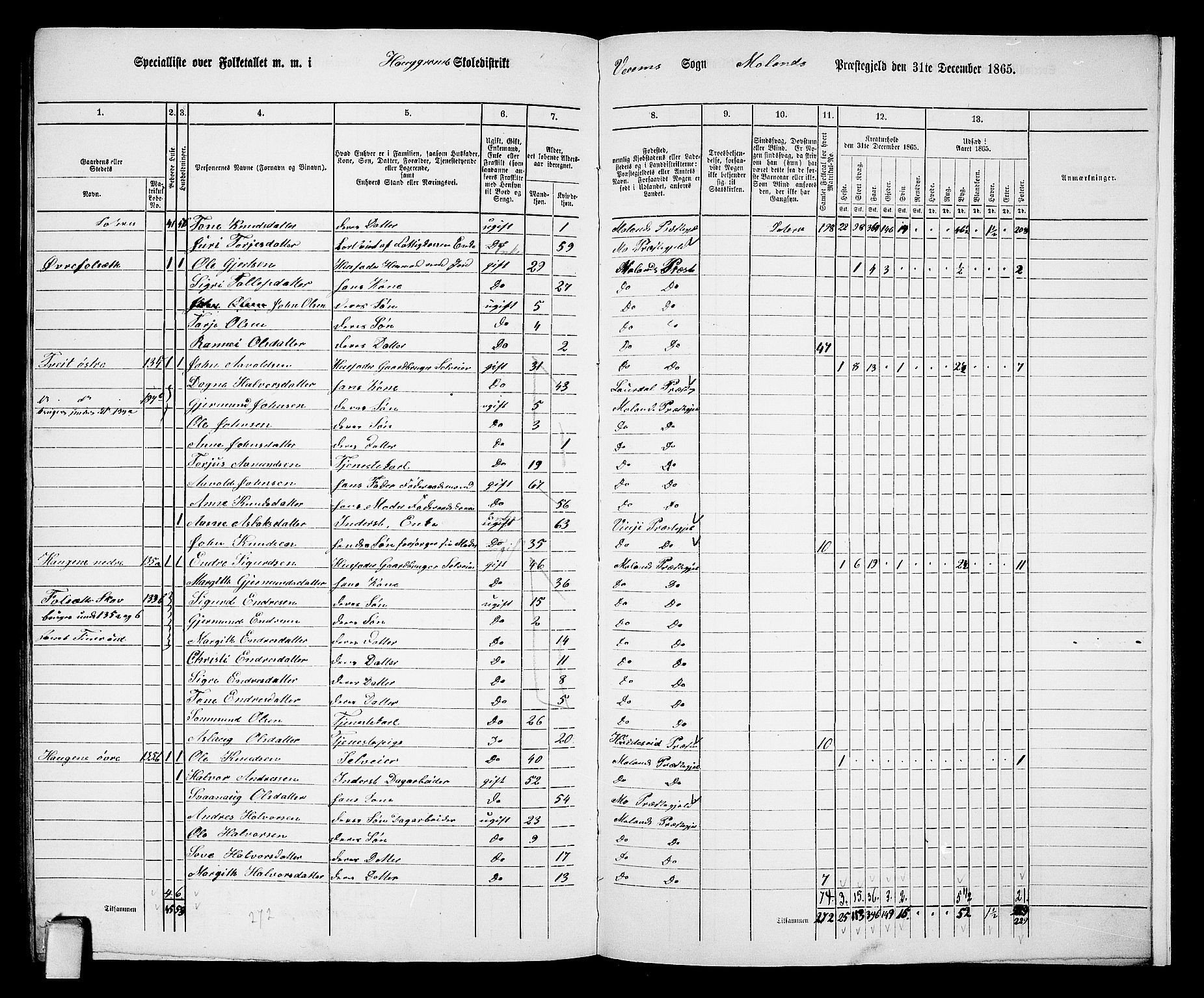 RA, 1865 census for Moland, 1865, p. 96