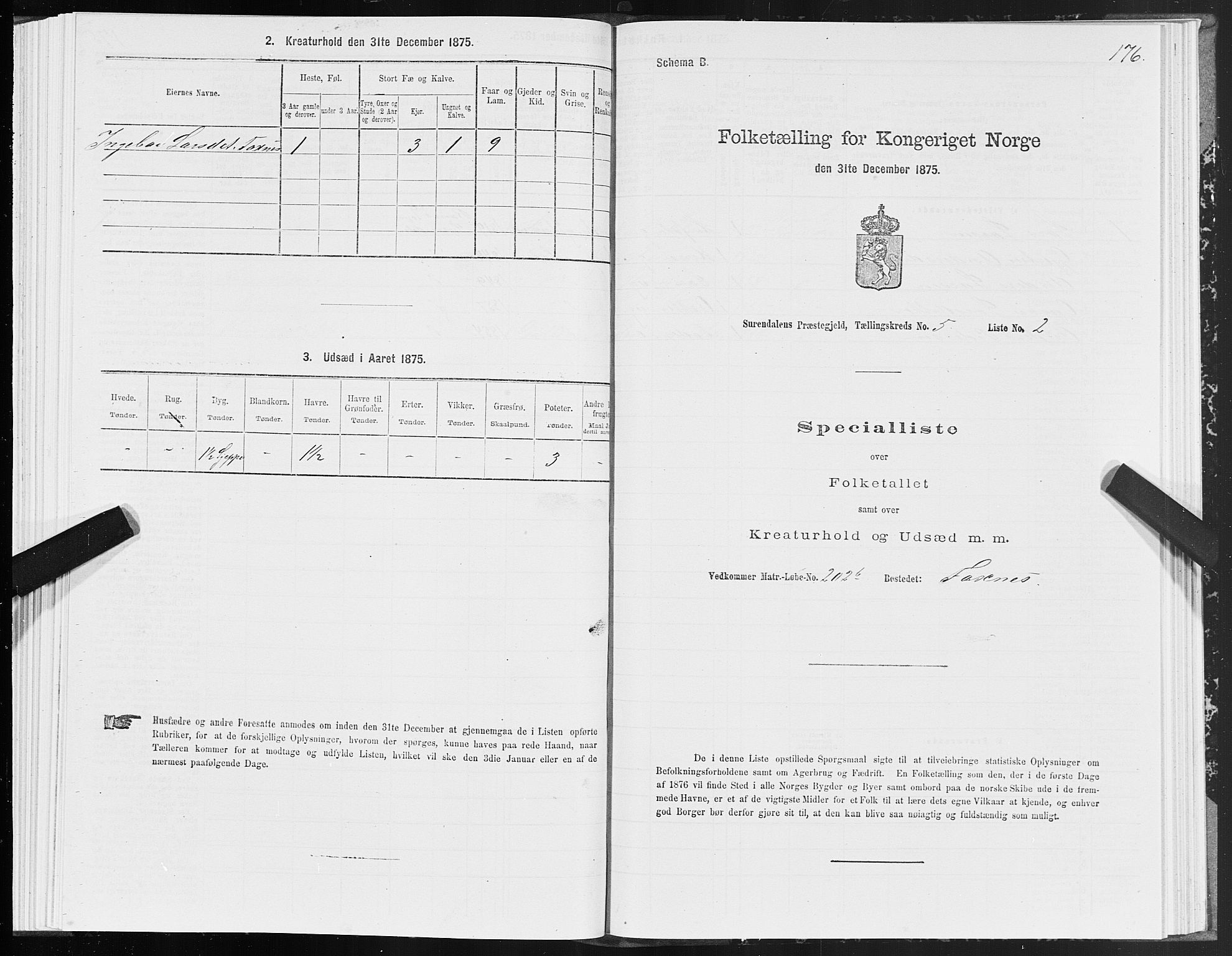 SAT, 1875 census for 1566P Surnadal, 1875, p. 2176