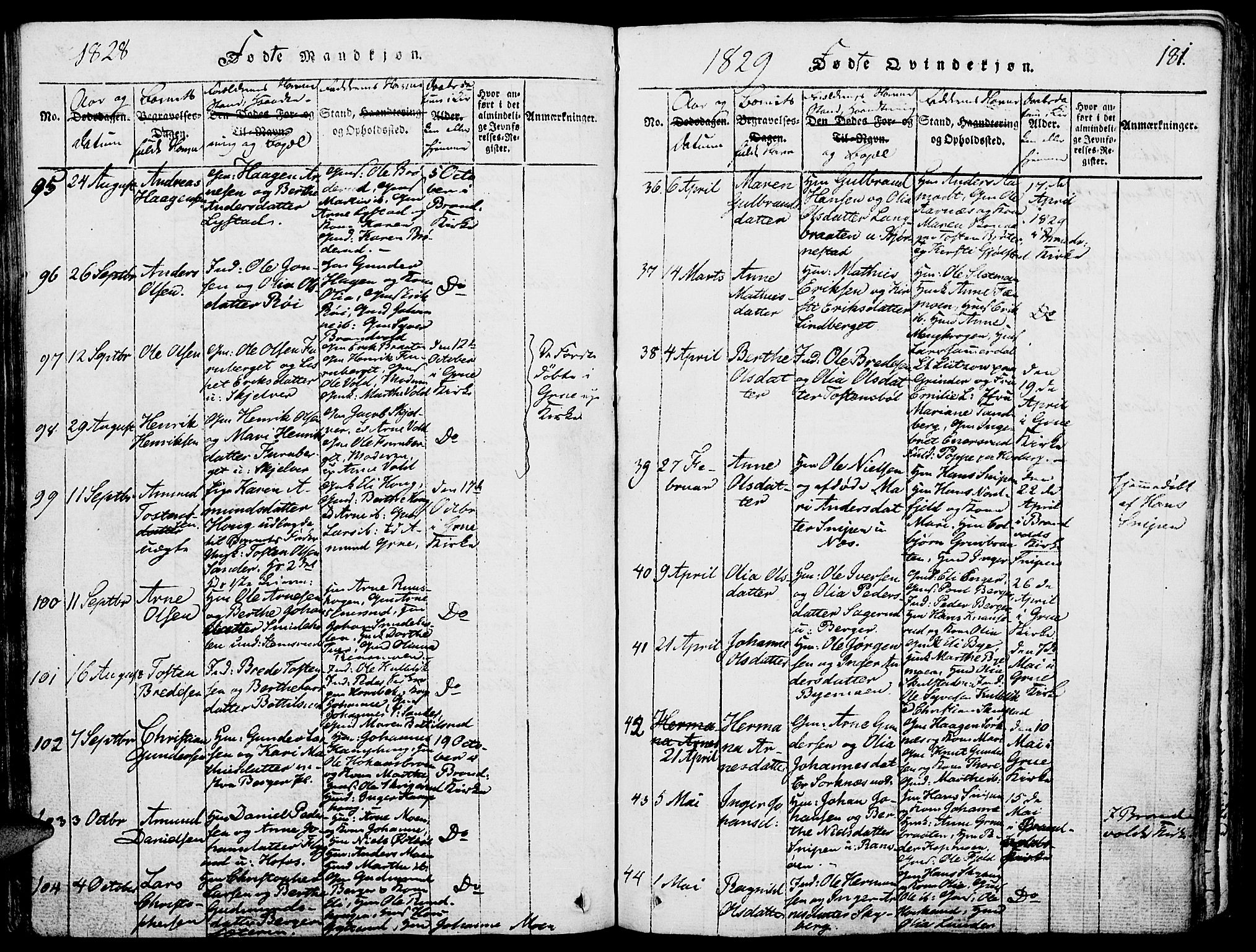 Grue prestekontor, AV/SAH-PREST-036/H/Ha/Haa/L0006: Parish register (official) no. 6, 1814-1830, p. 181