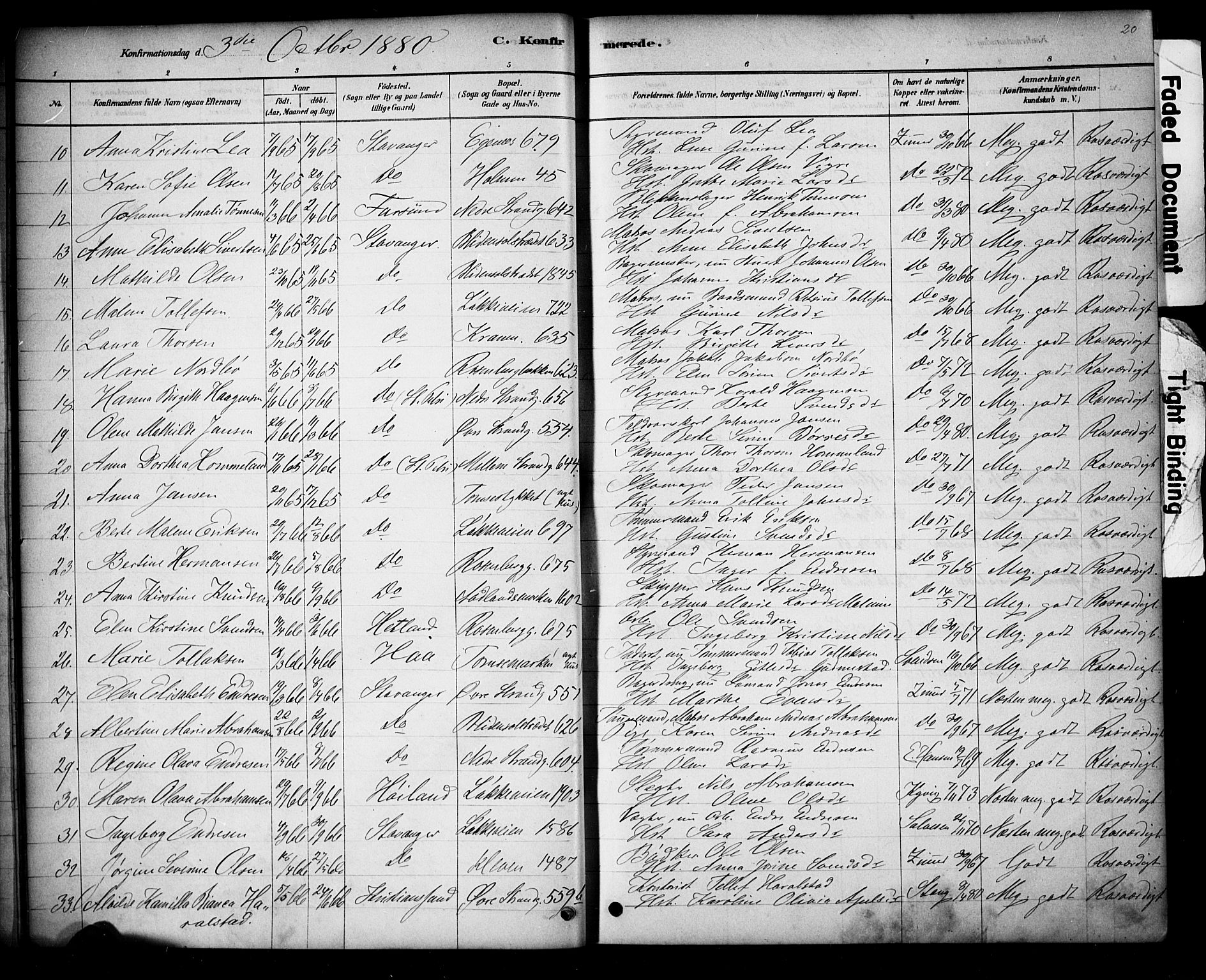 Domkirken sokneprestkontor, AV/SAST-A-101812/001/30/30BA/L0028: Parish register (official) no. A 27, 1878-1896, p. 20