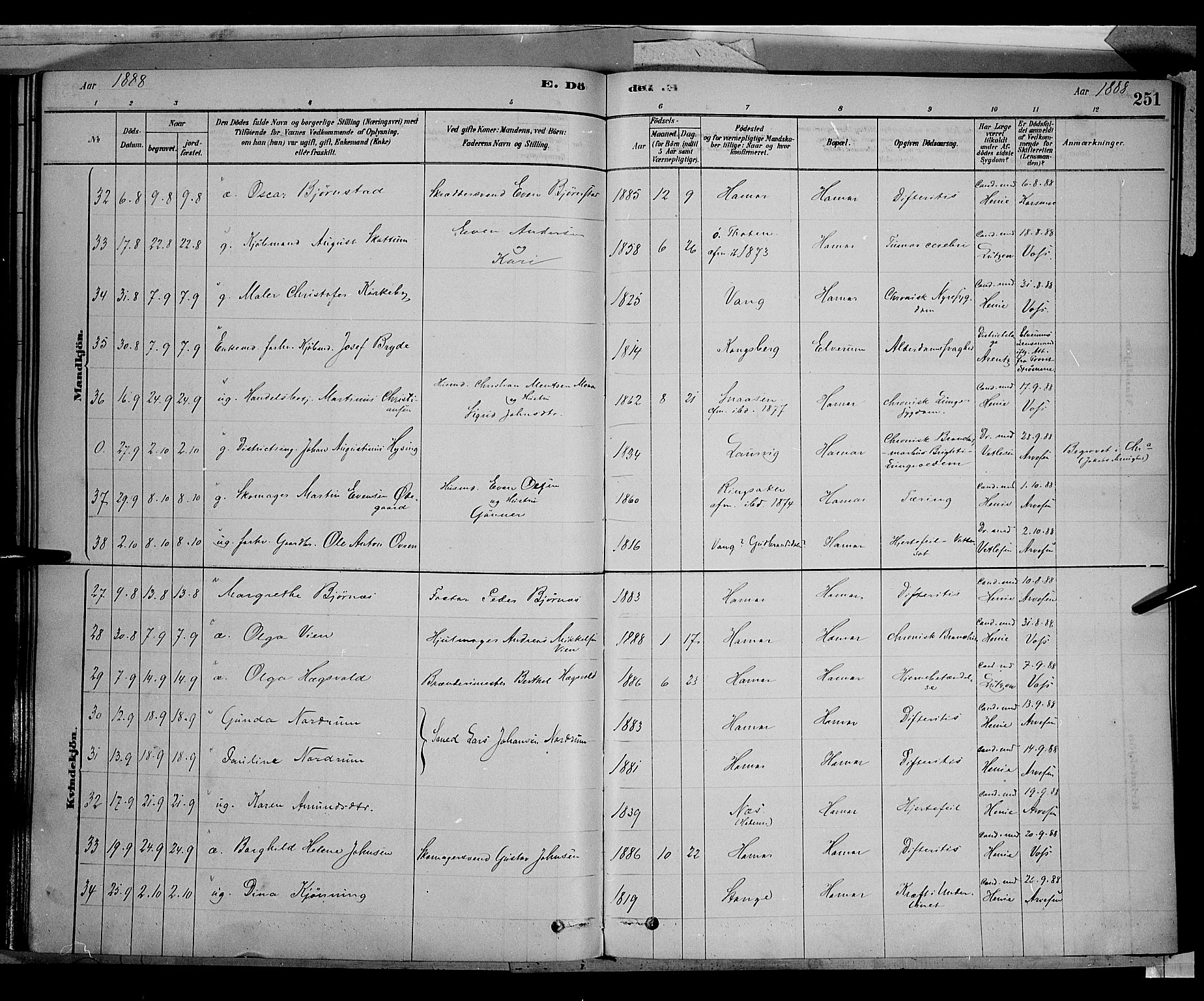 Vang prestekontor, Hedmark, AV/SAH-PREST-008/H/Ha/Haa/L0016: Parish register (official) no. 16, 1878-1889, p. 251