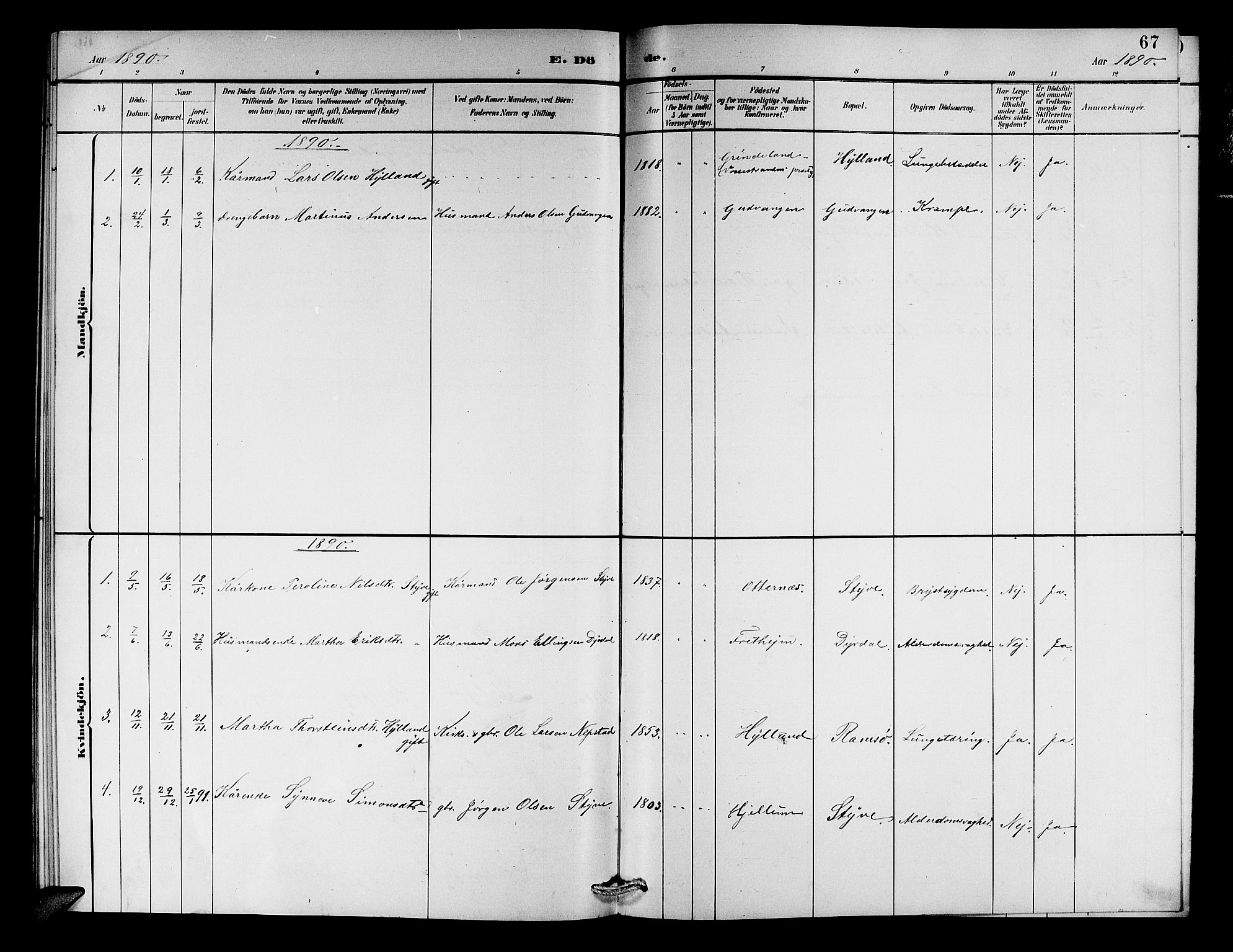 Aurland sokneprestembete, SAB/A-99937/H/Hb/Hbc/L0002: Parish register (copy) no. C 2, 1883-1900, p. 67