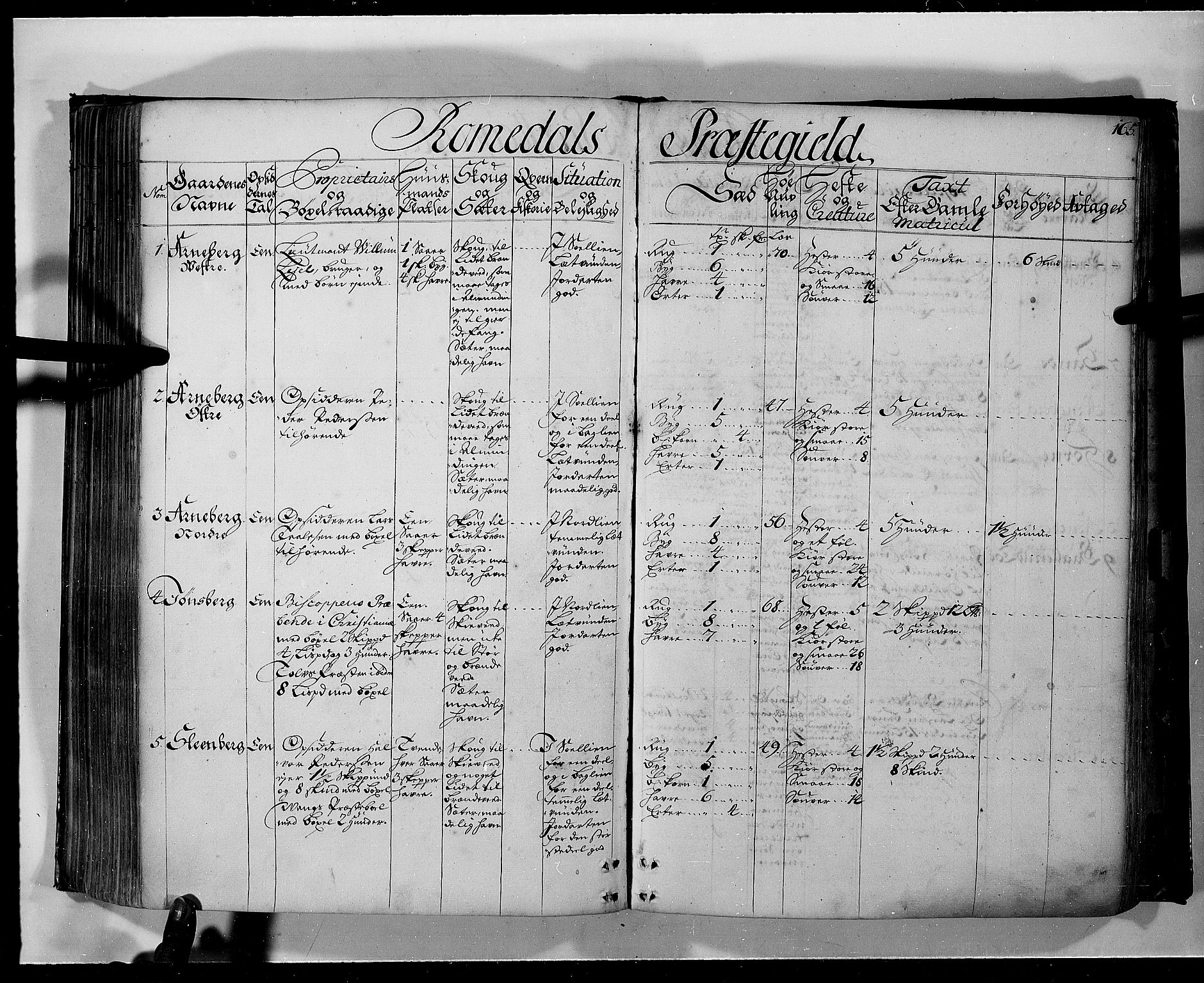 Rentekammeret inntil 1814, Realistisk ordnet avdeling, RA/EA-4070/N/Nb/Nbf/L0103a: Hedmark eksaminasjonsprotokoll, 1723, p. 164b-165a