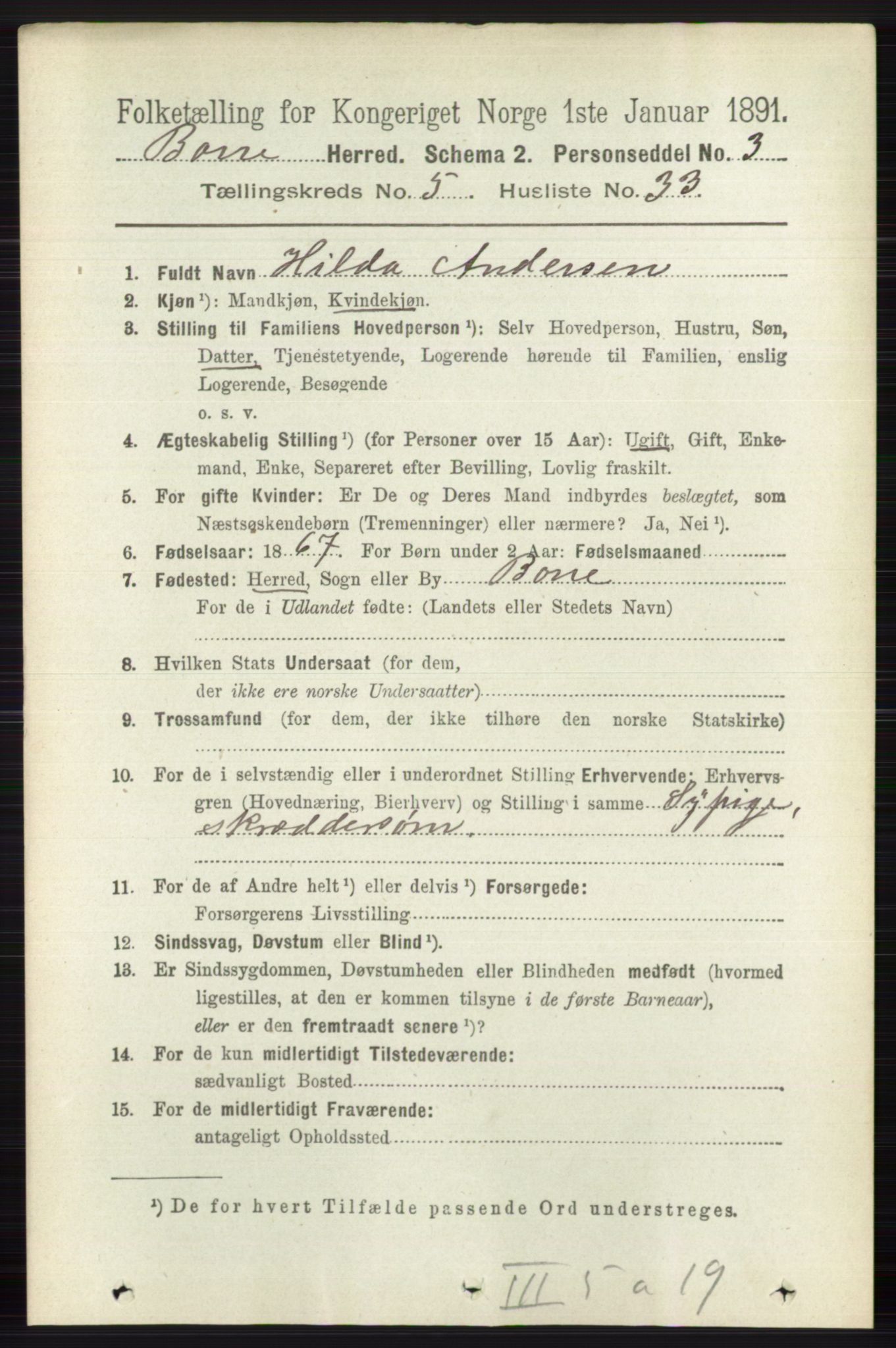 RA, 1891 census for 0717 Borre, 1891, p. 2216