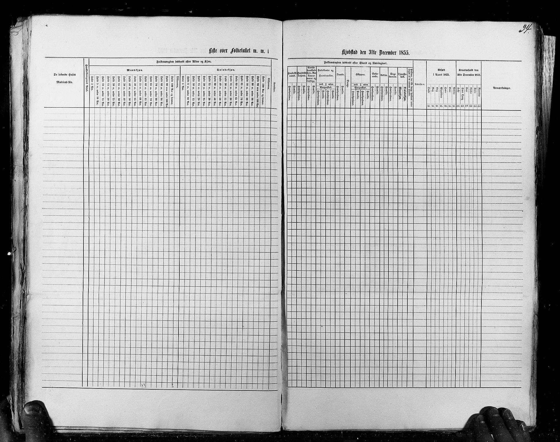 RA, Census 1855, vol. 8: Risør-Vadsø, 1855, p. 34