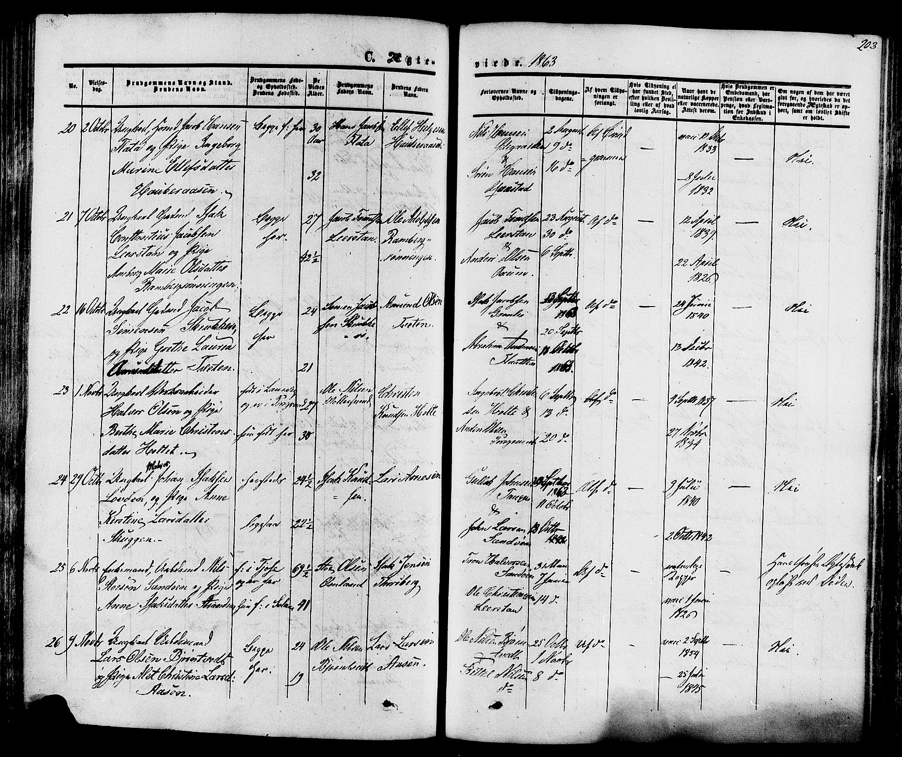 Eidanger kirkebøker, SAKO/A-261/F/Fa/L0010: Parish register (official) no. 10, 1859-1874, p. 203