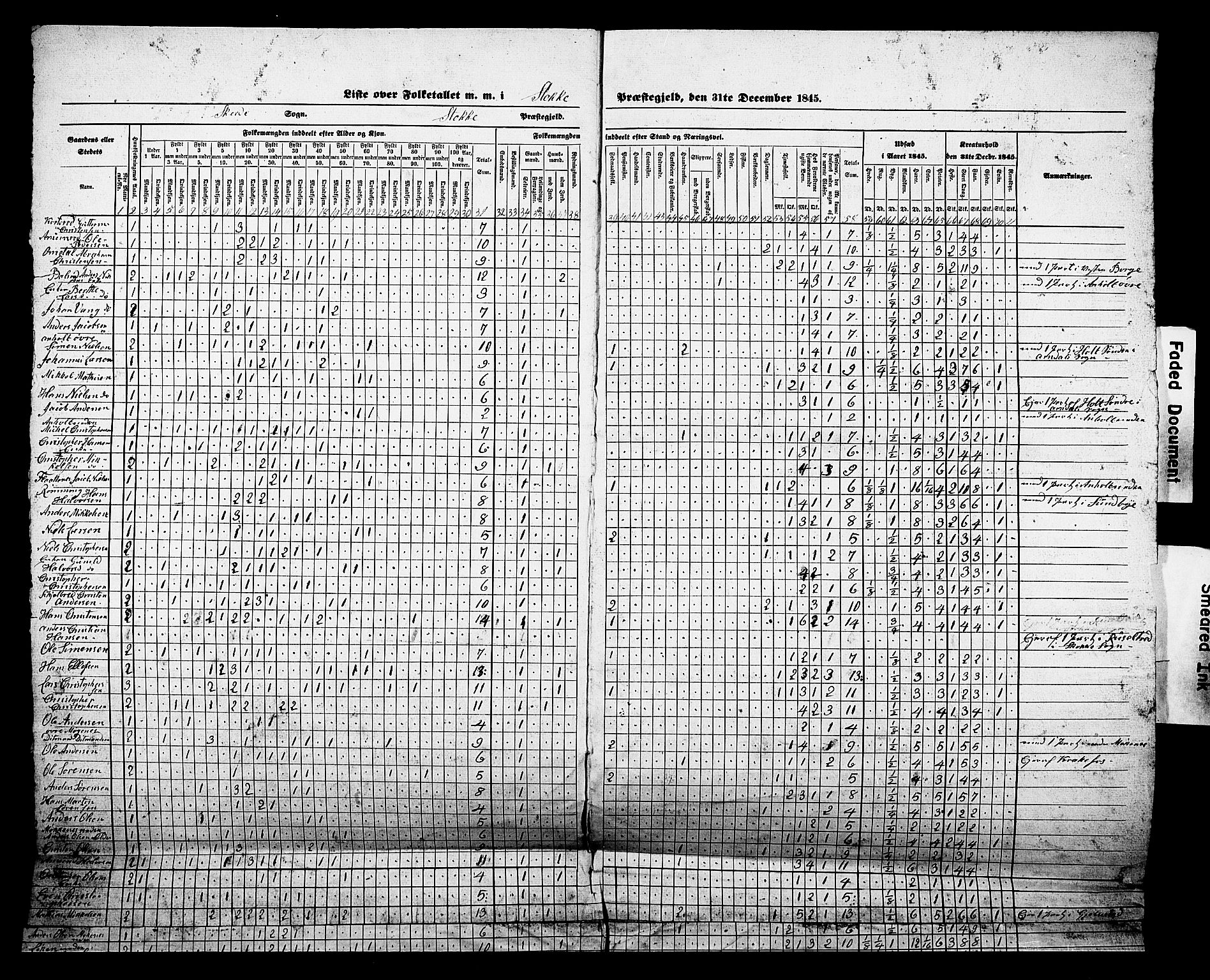 , Census 1845 for Stokke, 1845, p. 13