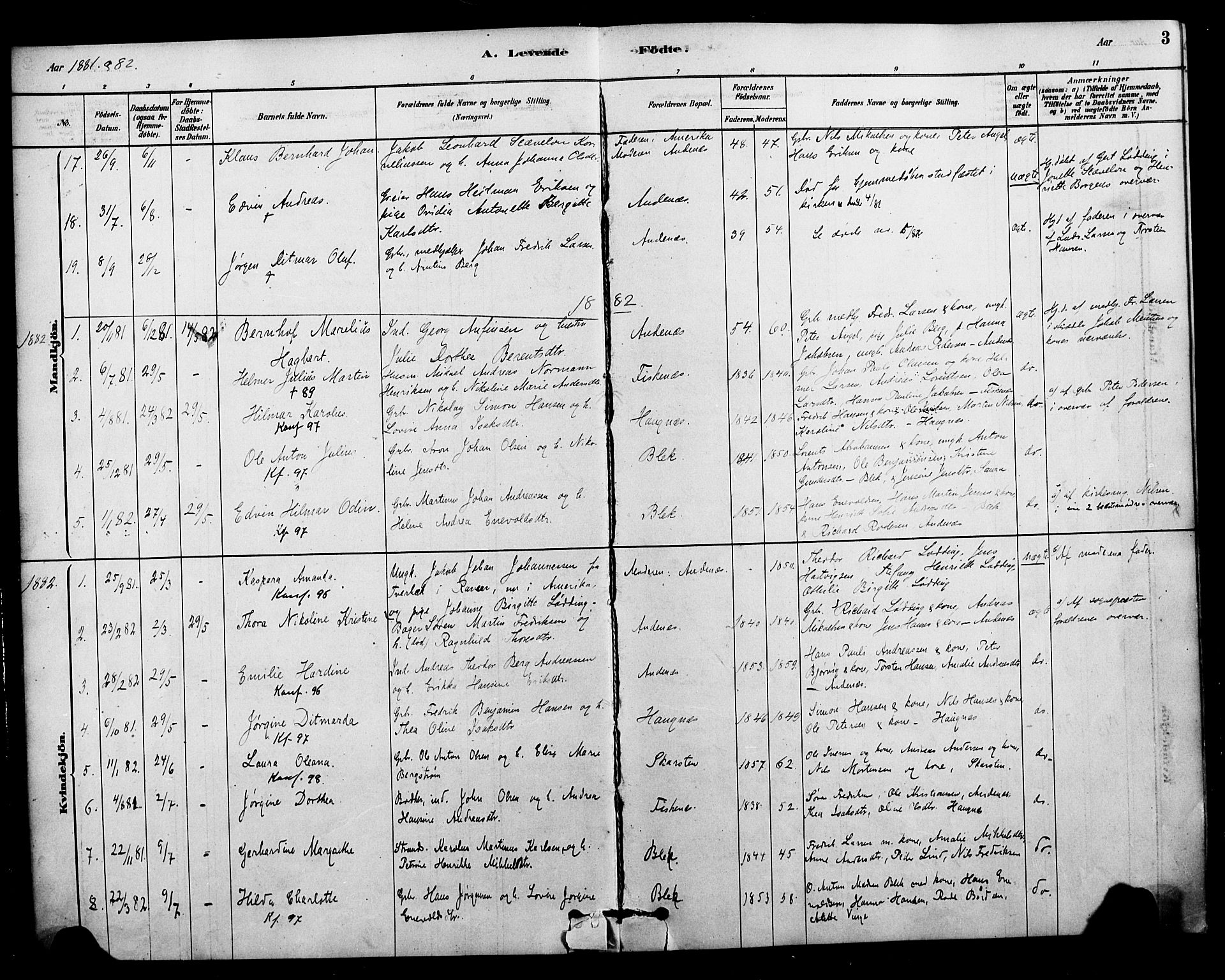 Ministerialprotokoller, klokkerbøker og fødselsregistre - Nordland, AV/SAT-A-1459/899/L1436: Parish register (official) no. 899A04, 1881-1896, p. 3