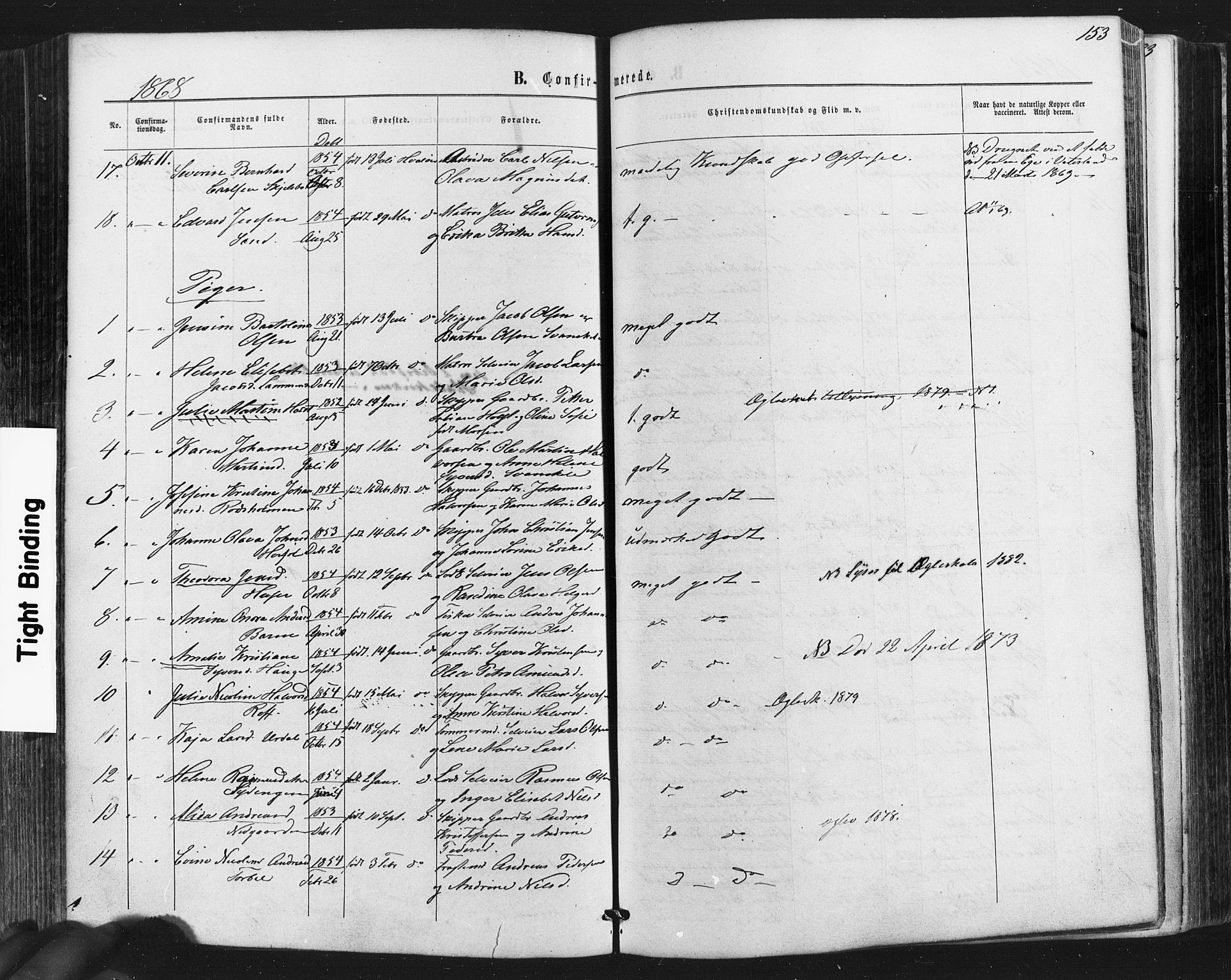 Hvaler prestekontor Kirkebøker, AV/SAO-A-2001/F/Fa/L0007: Parish register (official) no. I 7, 1864-1878, p. 153