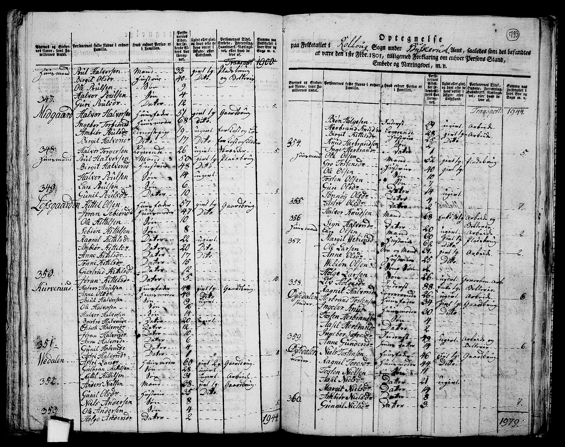 RA, 1801 census for 0632P Rollag, 1801, p. 732b-733a