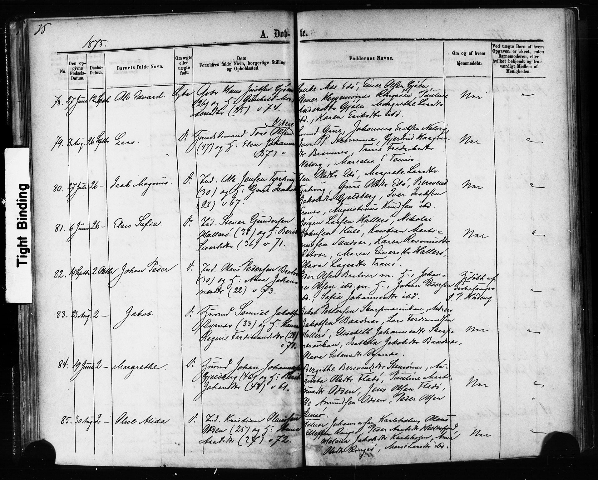 Ministerialprotokoller, klokkerbøker og fødselsregistre - Møre og Romsdal, AV/SAT-A-1454/581/L0938: Parish register (official) no. 581A06, 1873-1879, p. 35