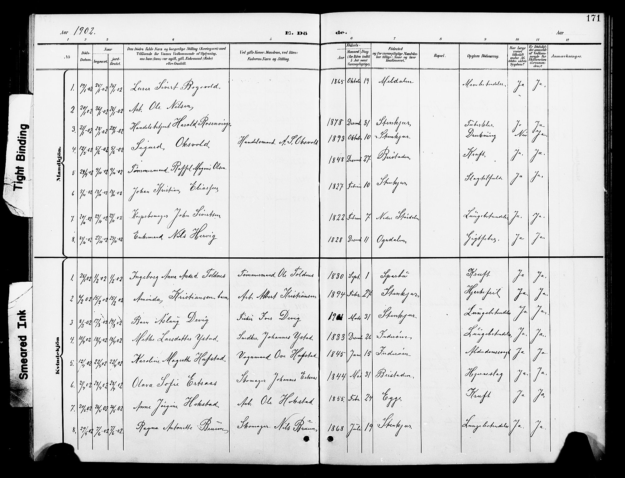 Ministerialprotokoller, klokkerbøker og fødselsregistre - Nord-Trøndelag, SAT/A-1458/739/L0375: Parish register (copy) no. 739C03, 1898-1908, p. 171
