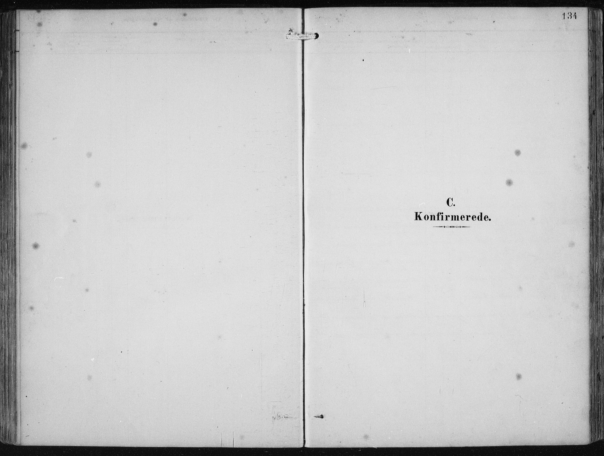 Etne sokneprestembete, SAB/A-75001/H/Haa: Parish register (official) no. B  1, 1879-1919, p. 134