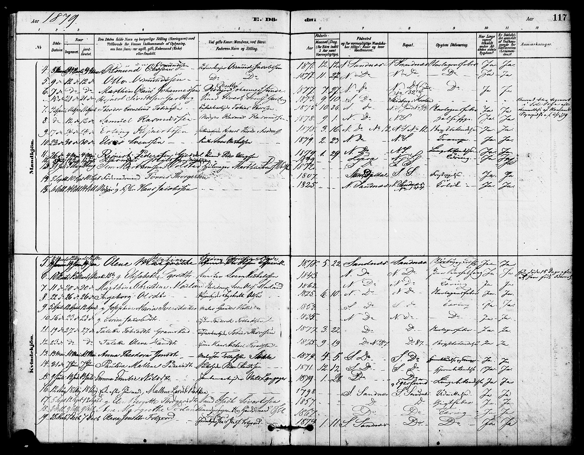 Høyland sokneprestkontor, AV/SAST-A-101799/001/30BA/L0012: Parish register (official) no. A 11, 1878-1889, p. 117