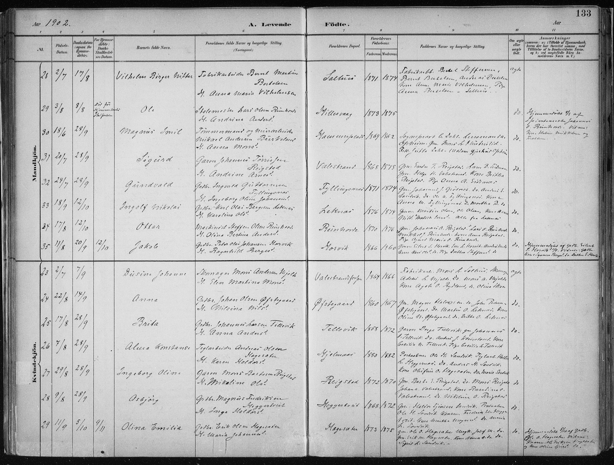 Hamre sokneprestembete, AV/SAB-A-75501/H/Ha/Haa/Haab/L0001: Parish register (official) no. B  1, 1882-1905, p. 133