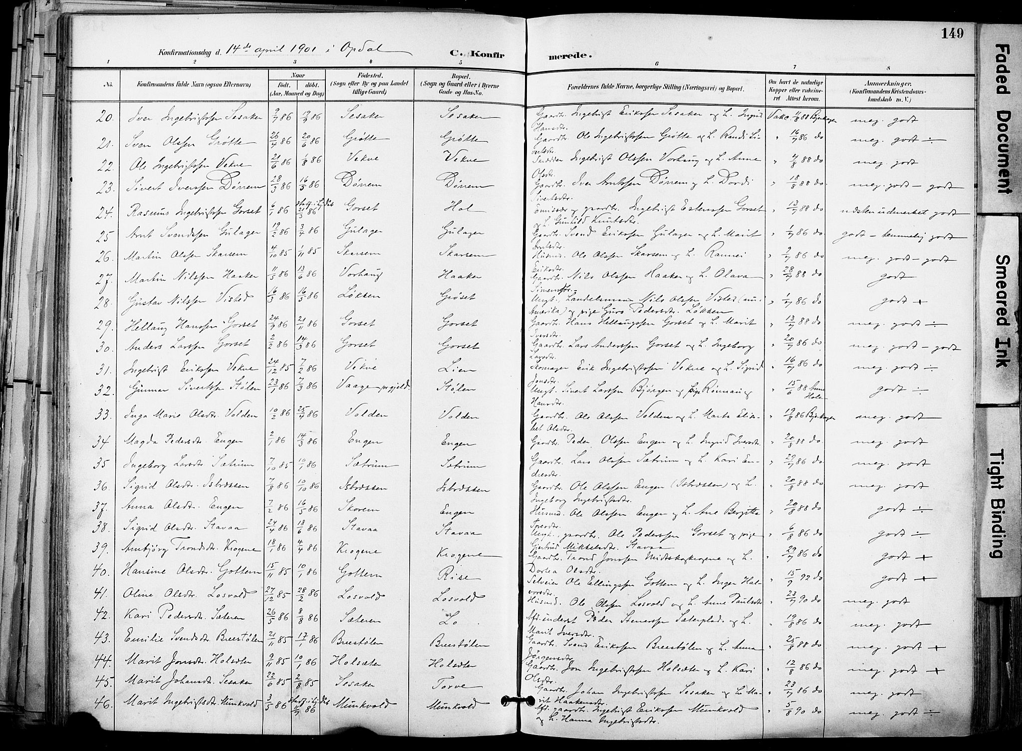 Ministerialprotokoller, klokkerbøker og fødselsregistre - Sør-Trøndelag, AV/SAT-A-1456/678/L0902: Parish register (official) no. 678A11, 1895-1911, p. 149