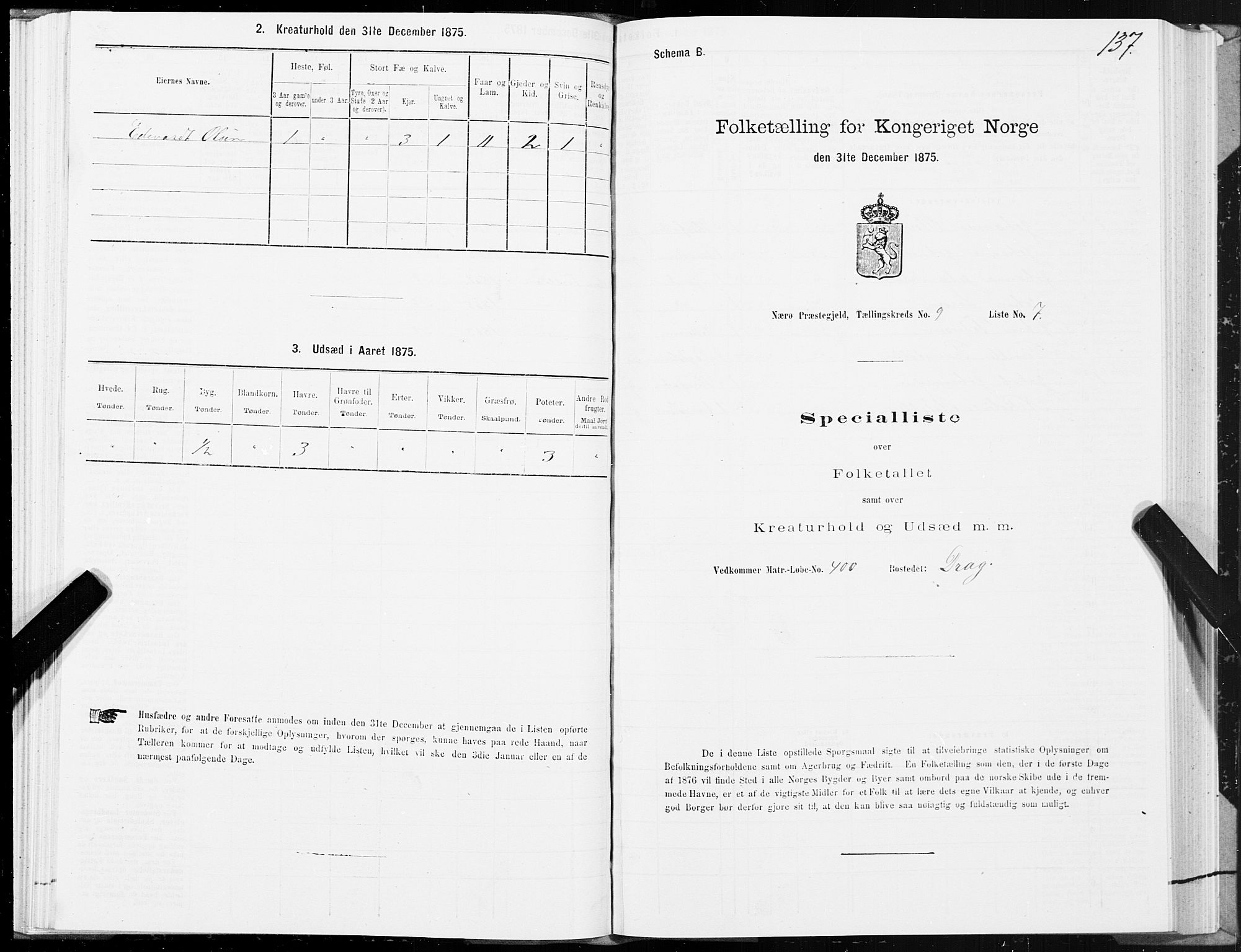 SAT, 1875 census for 1751P Nærøy, 1875, p. 4137