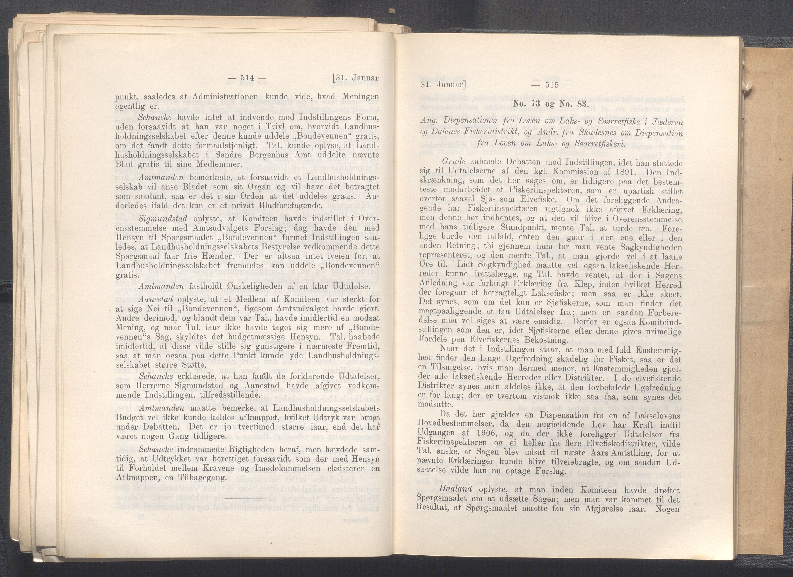 Rogaland fylkeskommune - Fylkesrådmannen , IKAR/A-900/A, 1906, p. 267