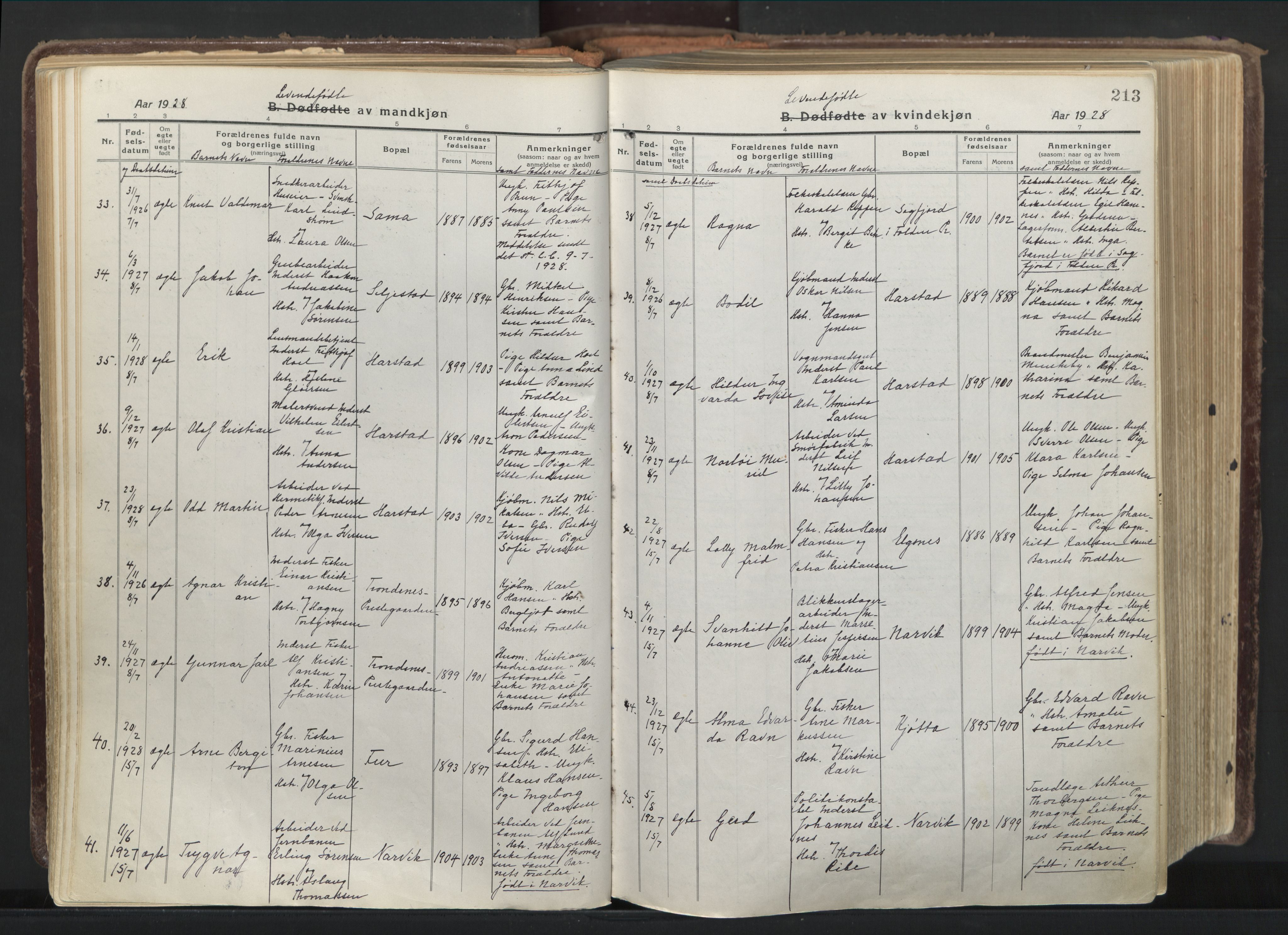 Trondenes sokneprestkontor, AV/SATØ-S-1319/H/Ha/L0019kirke: Parish register (official) no. 19, 1919-1928, p. 213