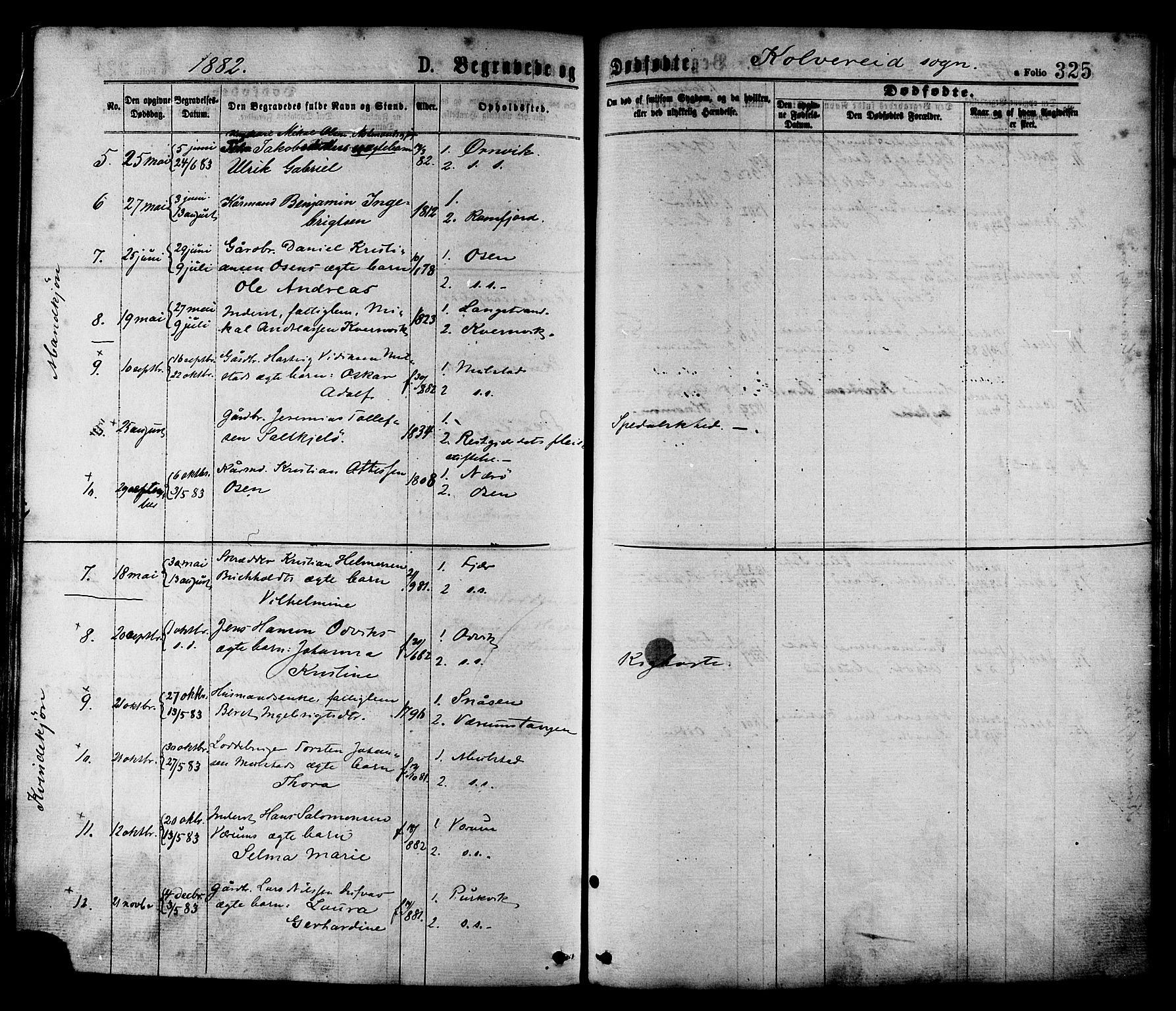 Ministerialprotokoller, klokkerbøker og fødselsregistre - Nord-Trøndelag, SAT/A-1458/780/L0642: Parish register (official) no. 780A07 /1, 1874-1885, p. 325