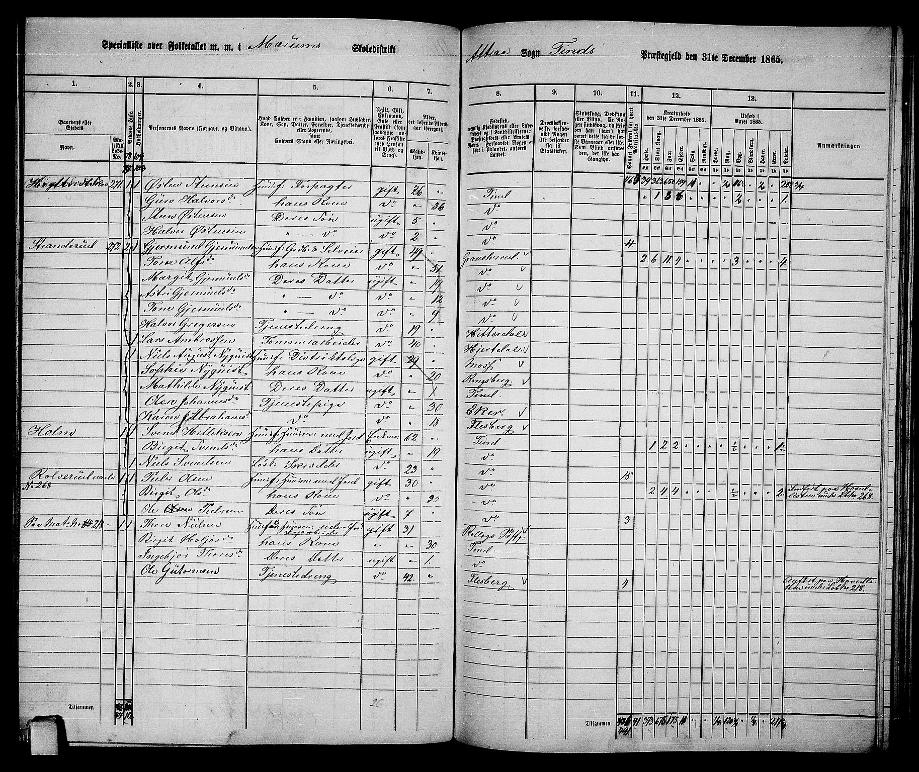 RA, 1865 census for Tinn, 1865, p. 79