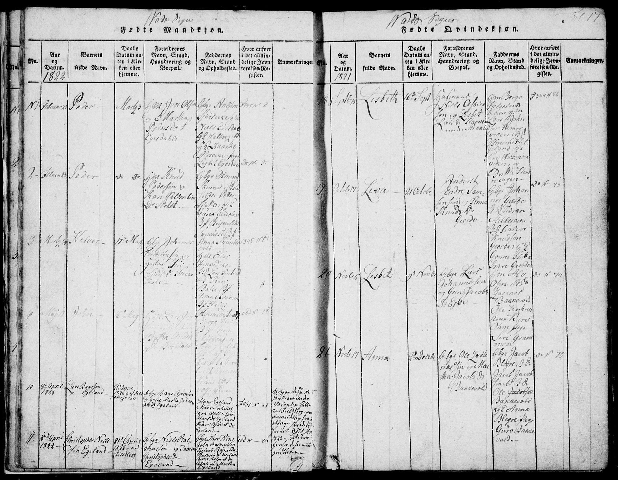 Skjold sokneprestkontor, AV/SAST-A-101847/H/Ha/Hab/L0002: Parish register (copy) no. B 2 /2, 1815-1830, p. 17