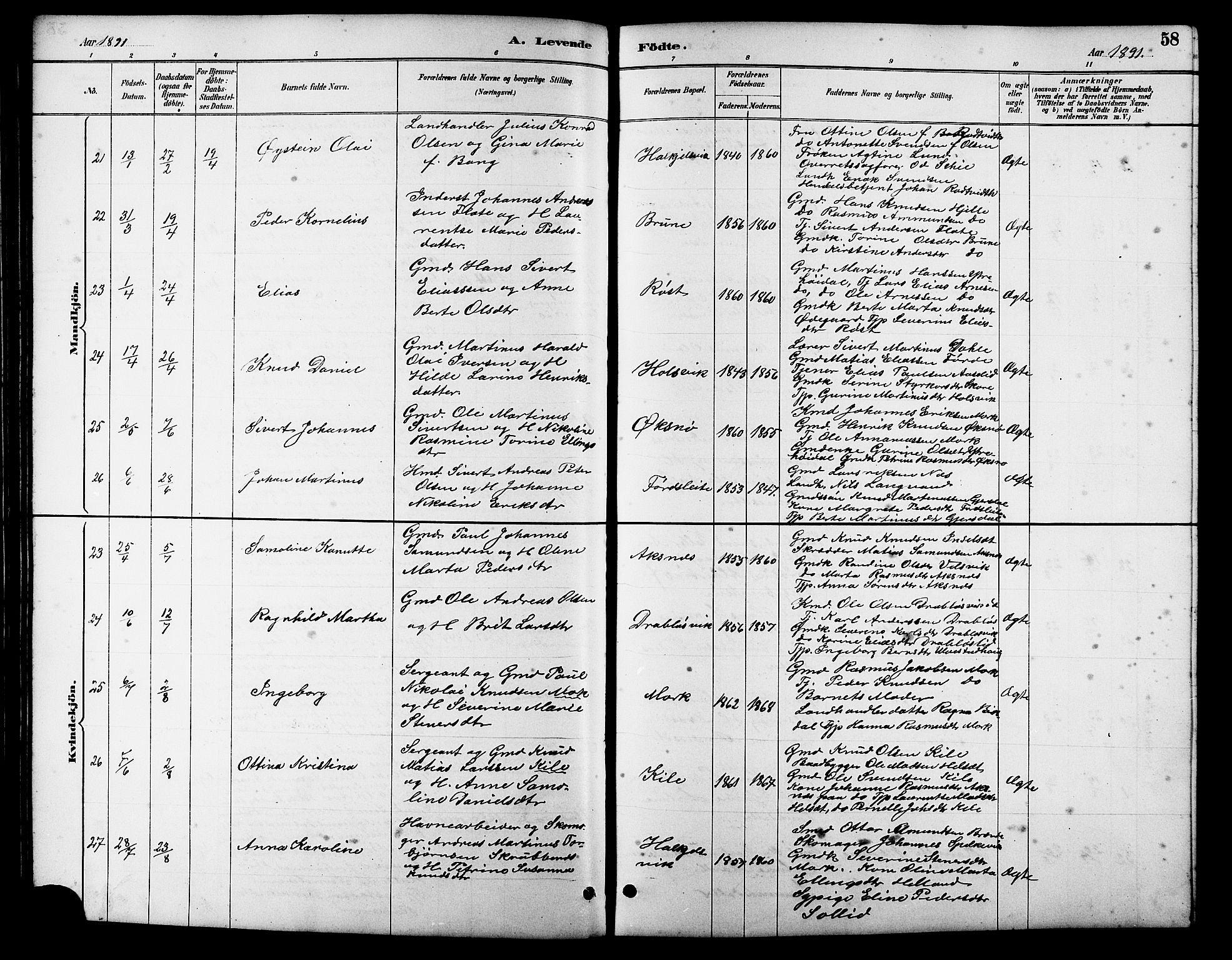 Ministerialprotokoller, klokkerbøker og fødselsregistre - Møre og Romsdal, AV/SAT-A-1454/511/L0158: Parish register (copy) no. 511C04, 1884-1903, p. 58