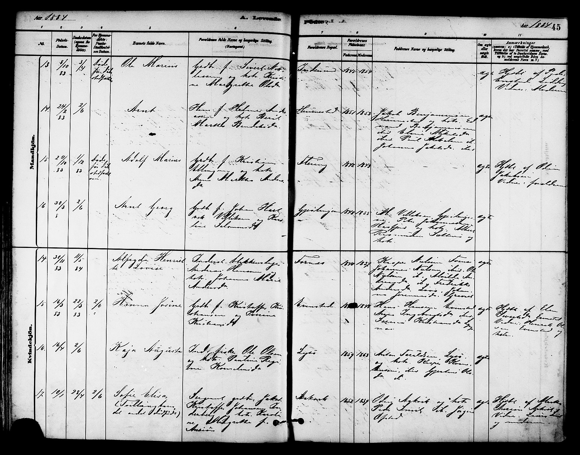 Ministerialprotokoller, klokkerbøker og fødselsregistre - Nord-Trøndelag, AV/SAT-A-1458/786/L0686: Parish register (official) no. 786A02, 1880-1887, p. 45