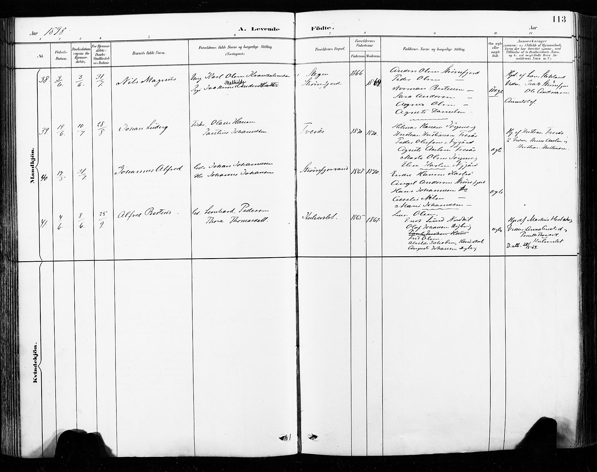 Ministerialprotokoller, klokkerbøker og fødselsregistre - Nordland, AV/SAT-A-1459/859/L0847: Parish register (official) no. 859A07, 1890-1899, p. 113