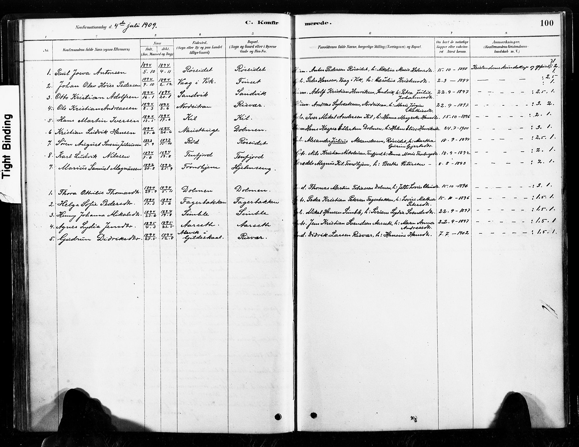 Ministerialprotokoller, klokkerbøker og fødselsregistre - Nord-Trøndelag, SAT/A-1458/789/L0705: Parish register (official) no. 789A01, 1878-1910, p. 100