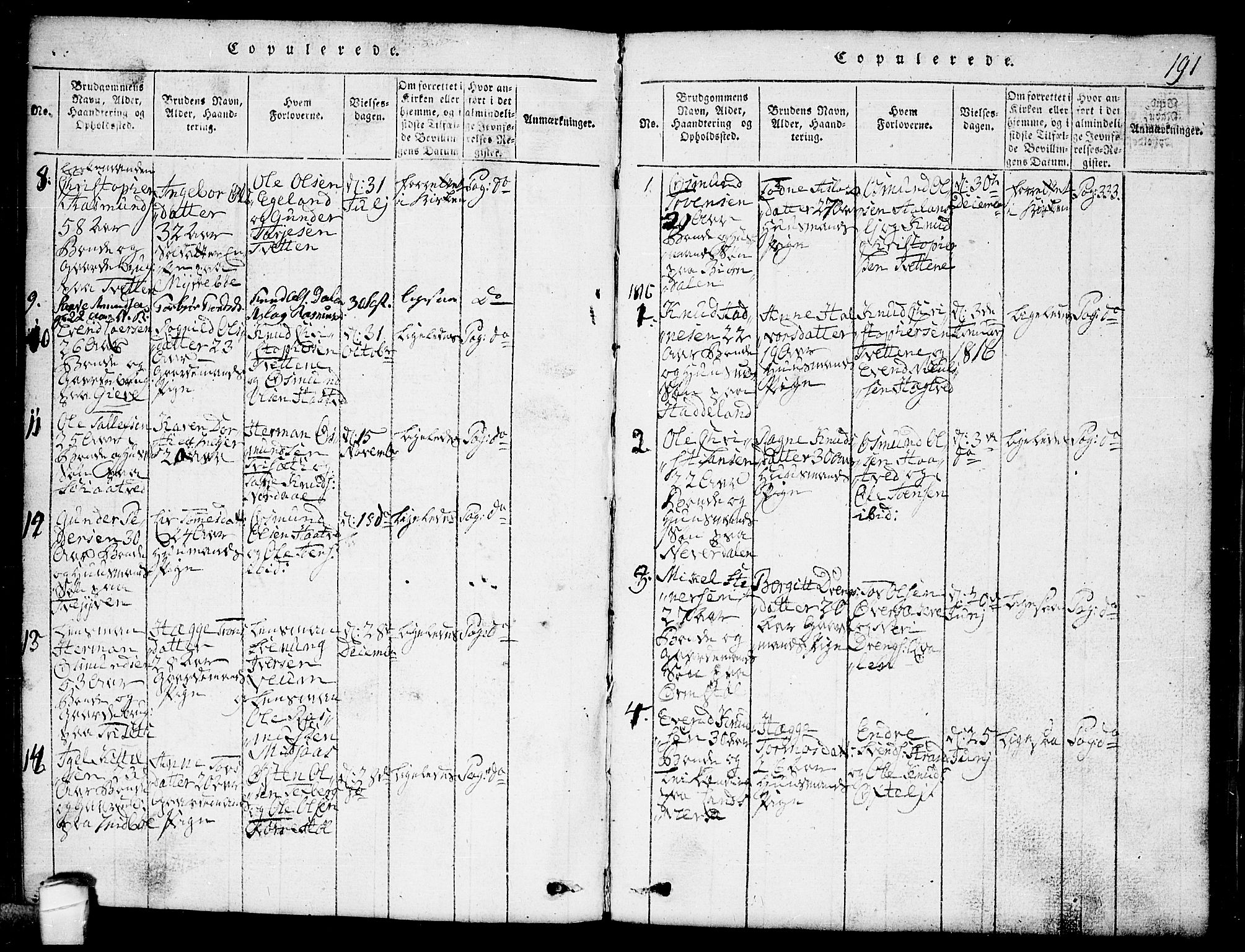 Lårdal kirkebøker, SAKO/A-284/G/Ga/L0001: Parish register (copy) no. I 1, 1815-1861, p. 191