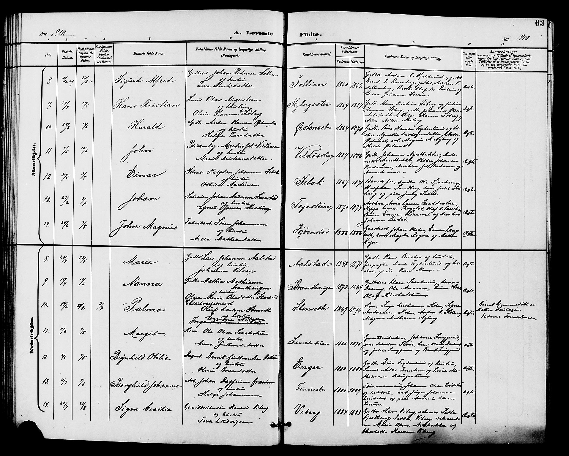 Vardal prestekontor, SAH/PREST-100/H/Ha/Hab/L0011: Parish register (copy) no. 11, 1899-1913, p. 63