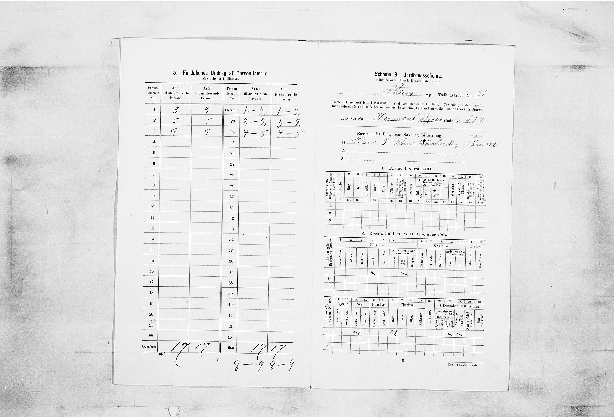 SAKO, 1900 census for Skien, 1900, p. 3750