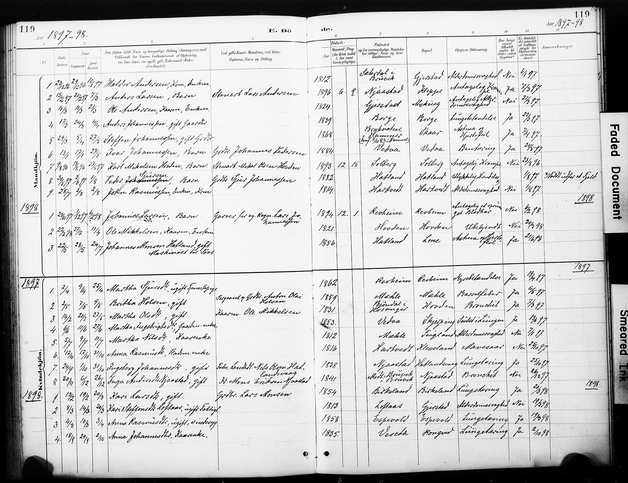 Haus sokneprestembete, SAB/A-75601/H/Haa: Parish register (official) no. C 1, 1887-1899, p. 119