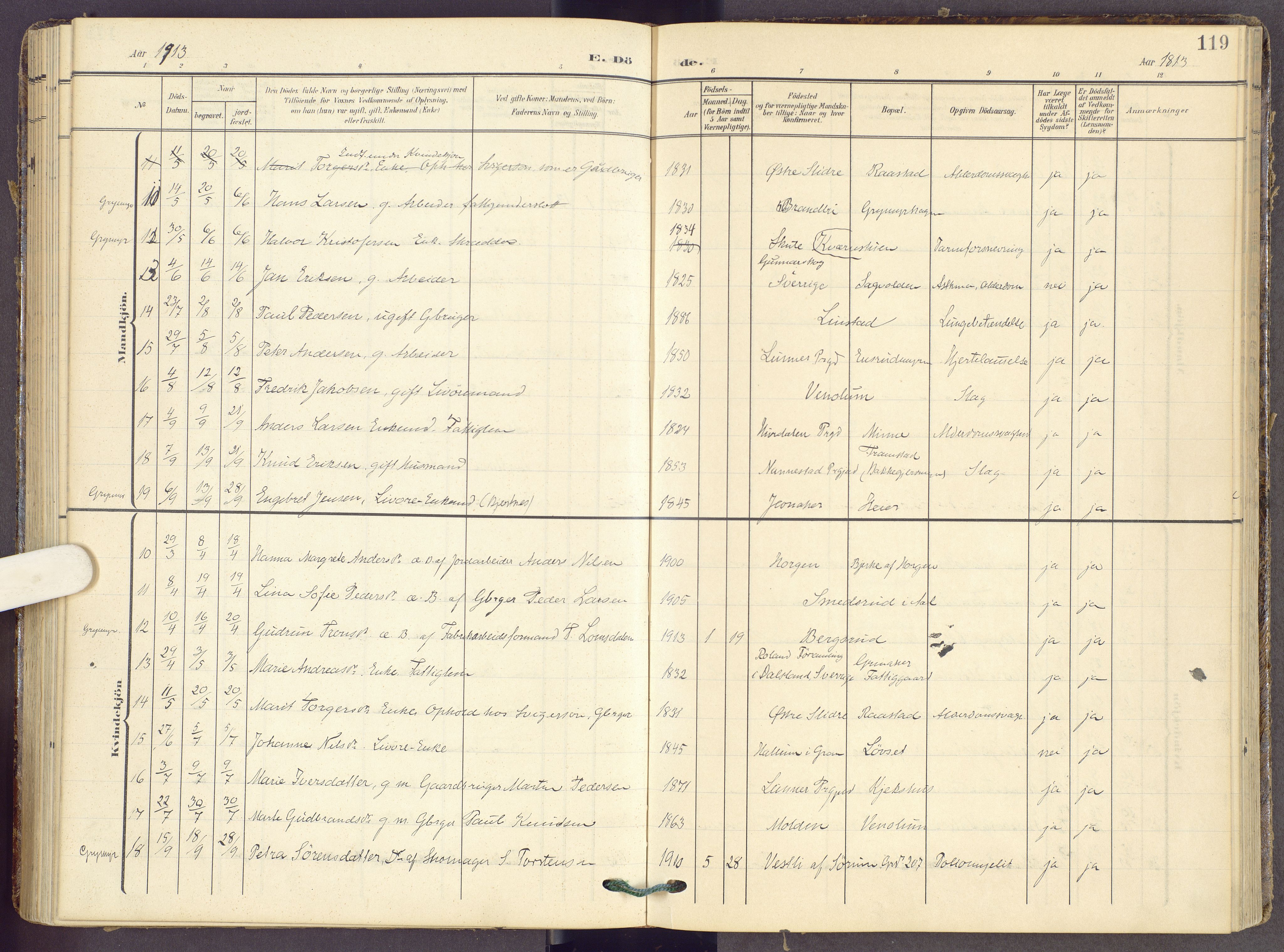 Gran prestekontor, SAH/PREST-112/H/Ha/Haa/L0022: Parish register (official) no. 22, 1908-1918, p. 119