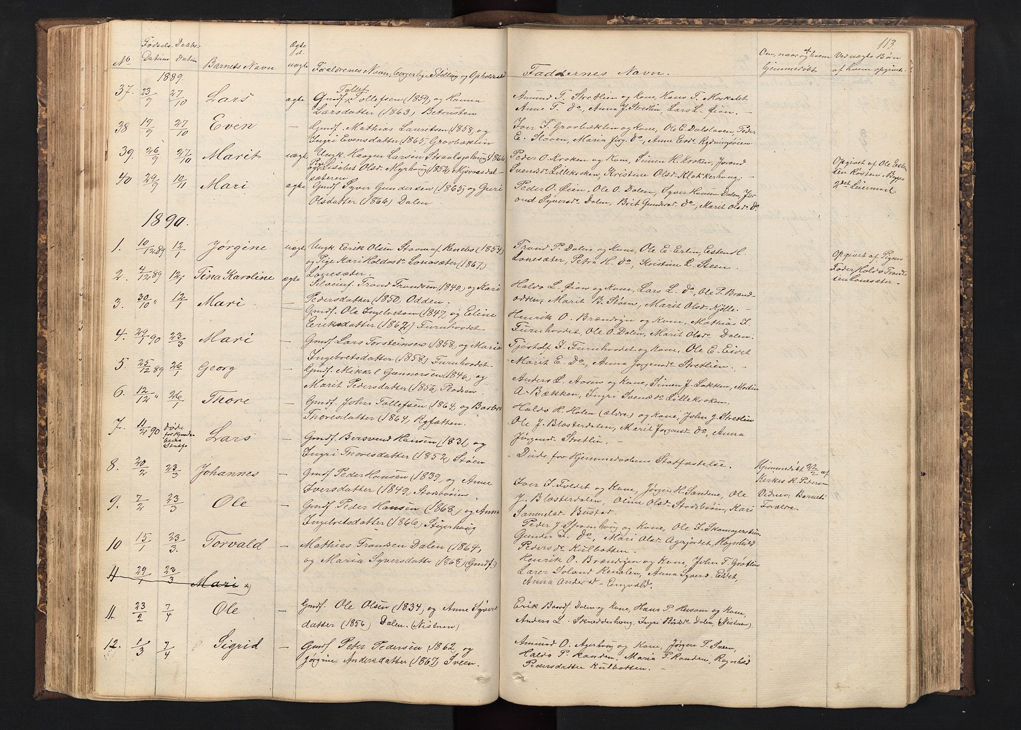 Alvdal prestekontor, SAH/PREST-060/H/Ha/Hab/L0001: Parish register (copy) no. 1, 1857-1893, p. 113