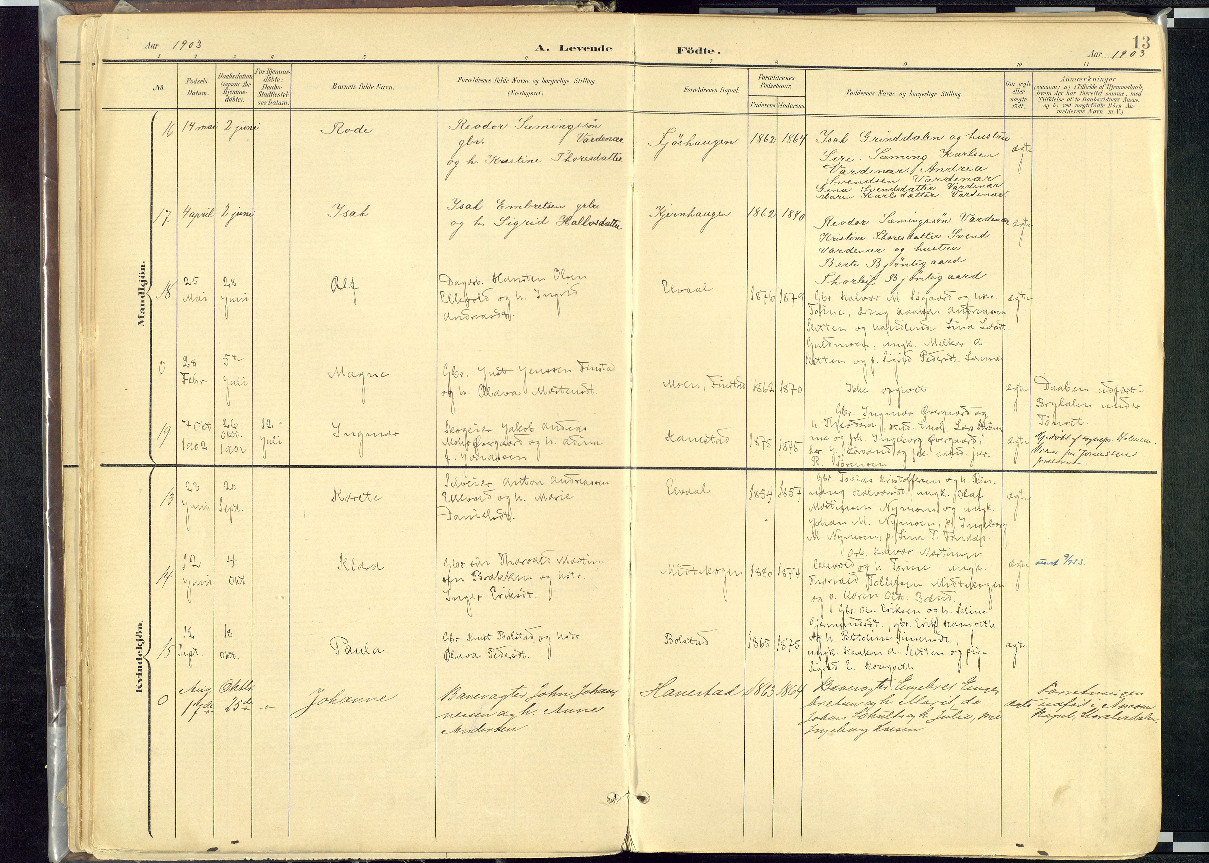 Rendalen prestekontor, SAH/PREST-054/H/Ha/Haa/L0012: Parish register (official) no. 12, 1901-1928, p. 13