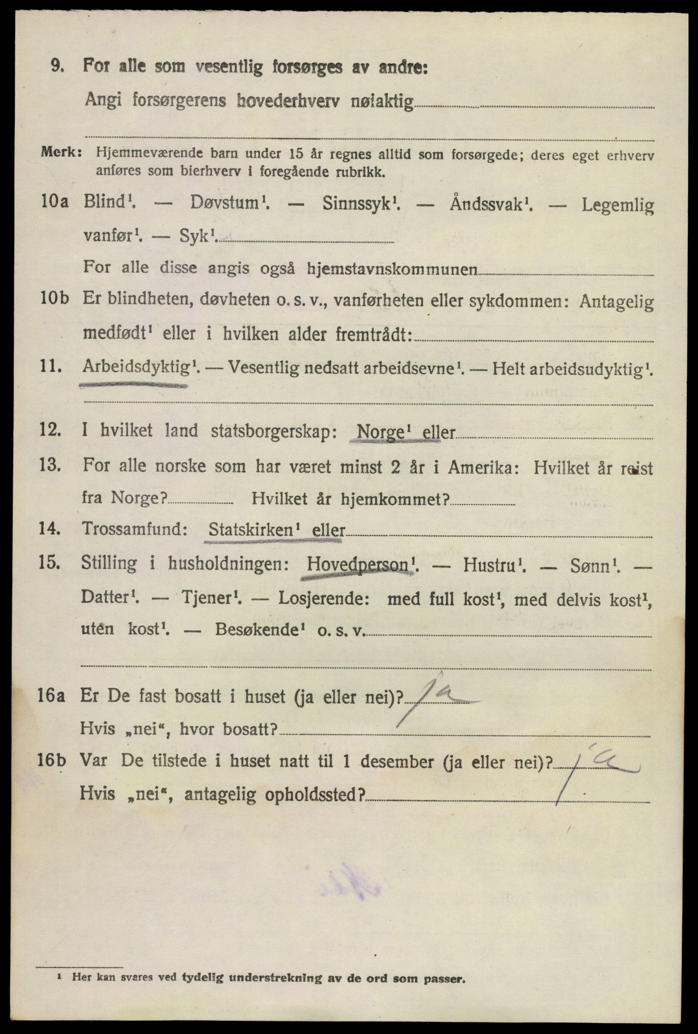 SAKO, 1920 census for Brunlanes, 1920, p. 6114