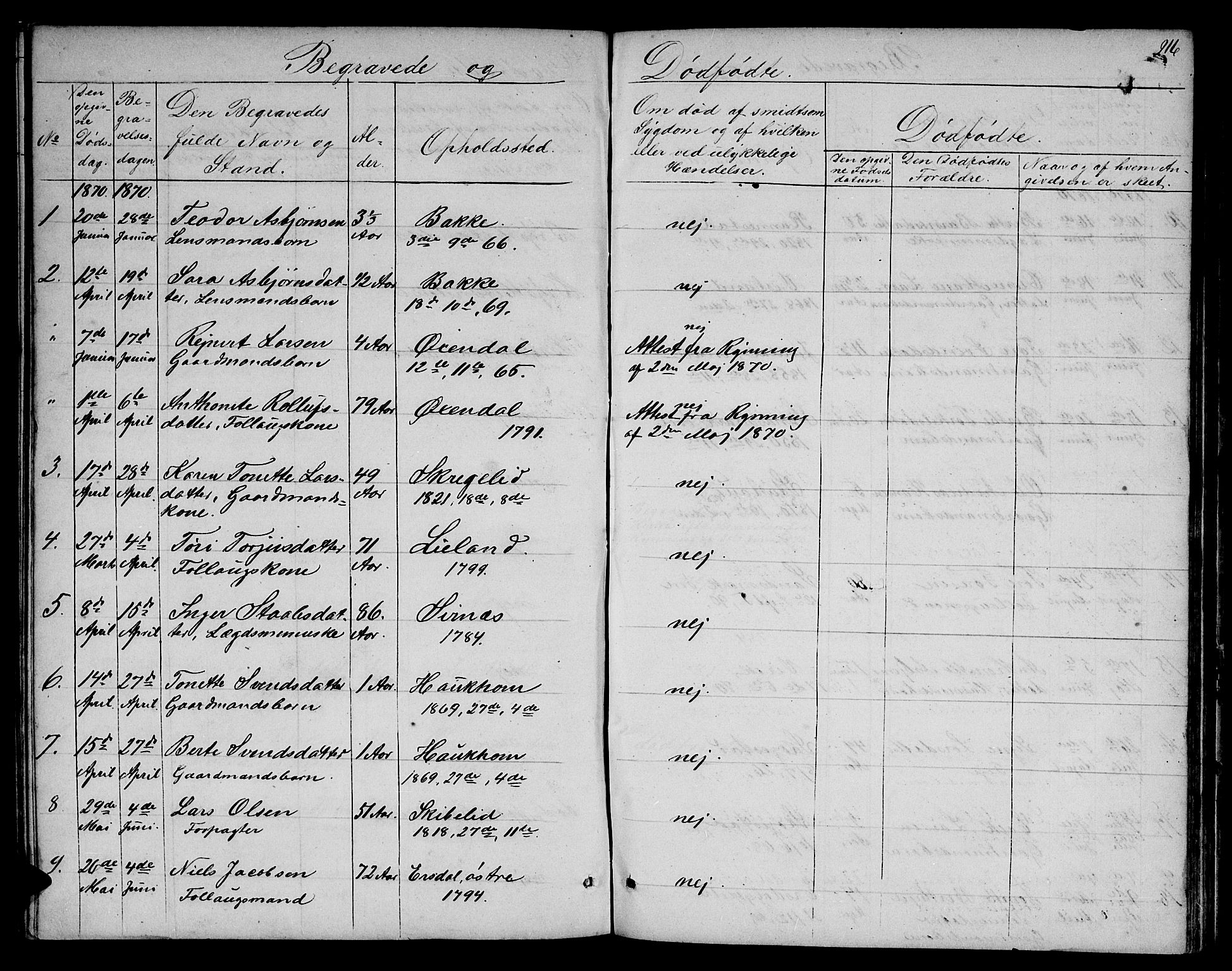 Bakke sokneprestkontor, SAK/1111-0002/F/Fb/Fba/L0001: Parish register (copy) no. B 1, 1849-1879, p. 216