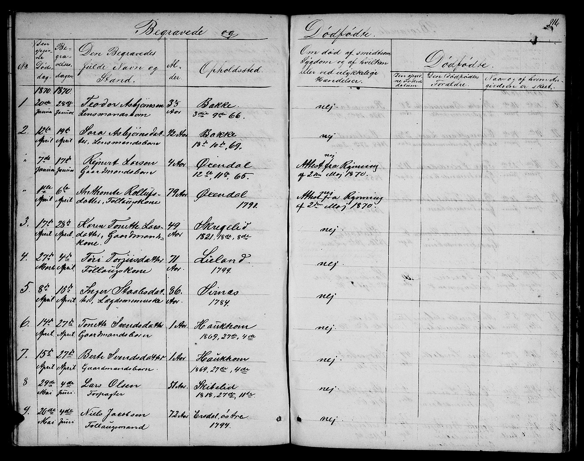 Bakke sokneprestkontor, AV/SAK-1111-0002/F/Fb/Fba/L0001: Parish register (copy) no. B 1, 1849-1879, p. 216