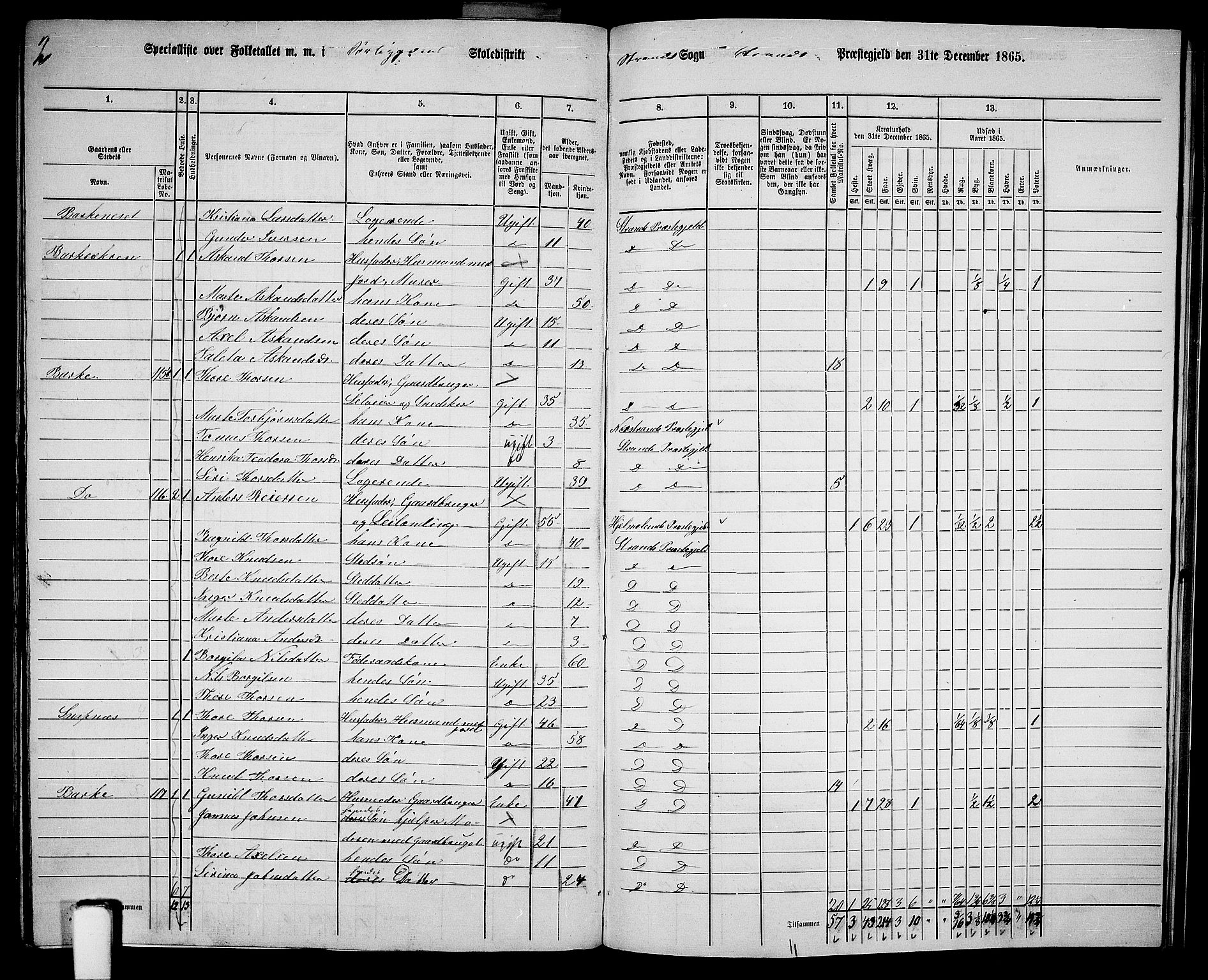 RA, 1865 census for Strand, 1865, p. 69