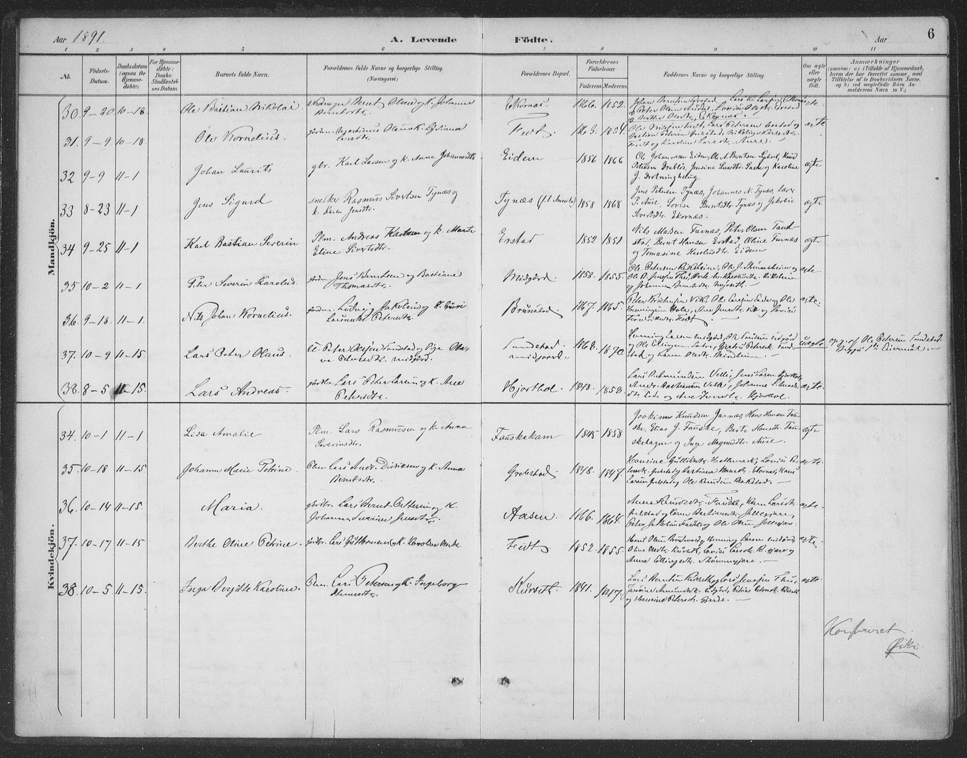 Ministerialprotokoller, klokkerbøker og fødselsregistre - Møre og Romsdal, AV/SAT-A-1454/523/L0335: Parish register (official) no. 523A02, 1891-1911, p. 6