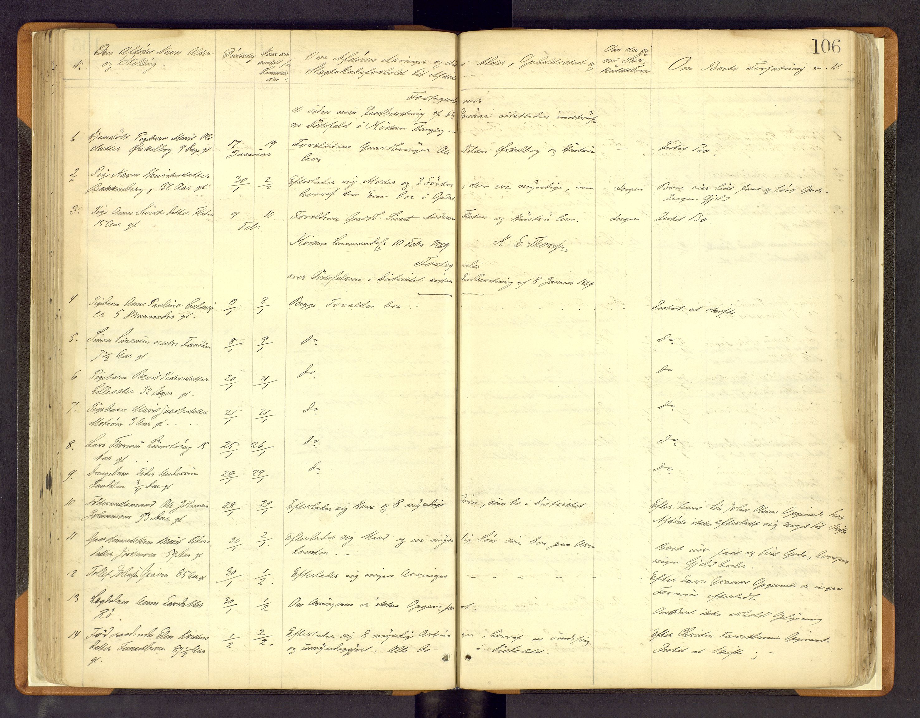 Nord-Østerdal tingrett, AV/SAH-TING-020/H/Hi/L0002/0002: Forskjellig vedrørende tinglysing / Korrigering av grunnboka hvor hjemmelshaver mangler, er død m.v., 1863-1875, p. 106