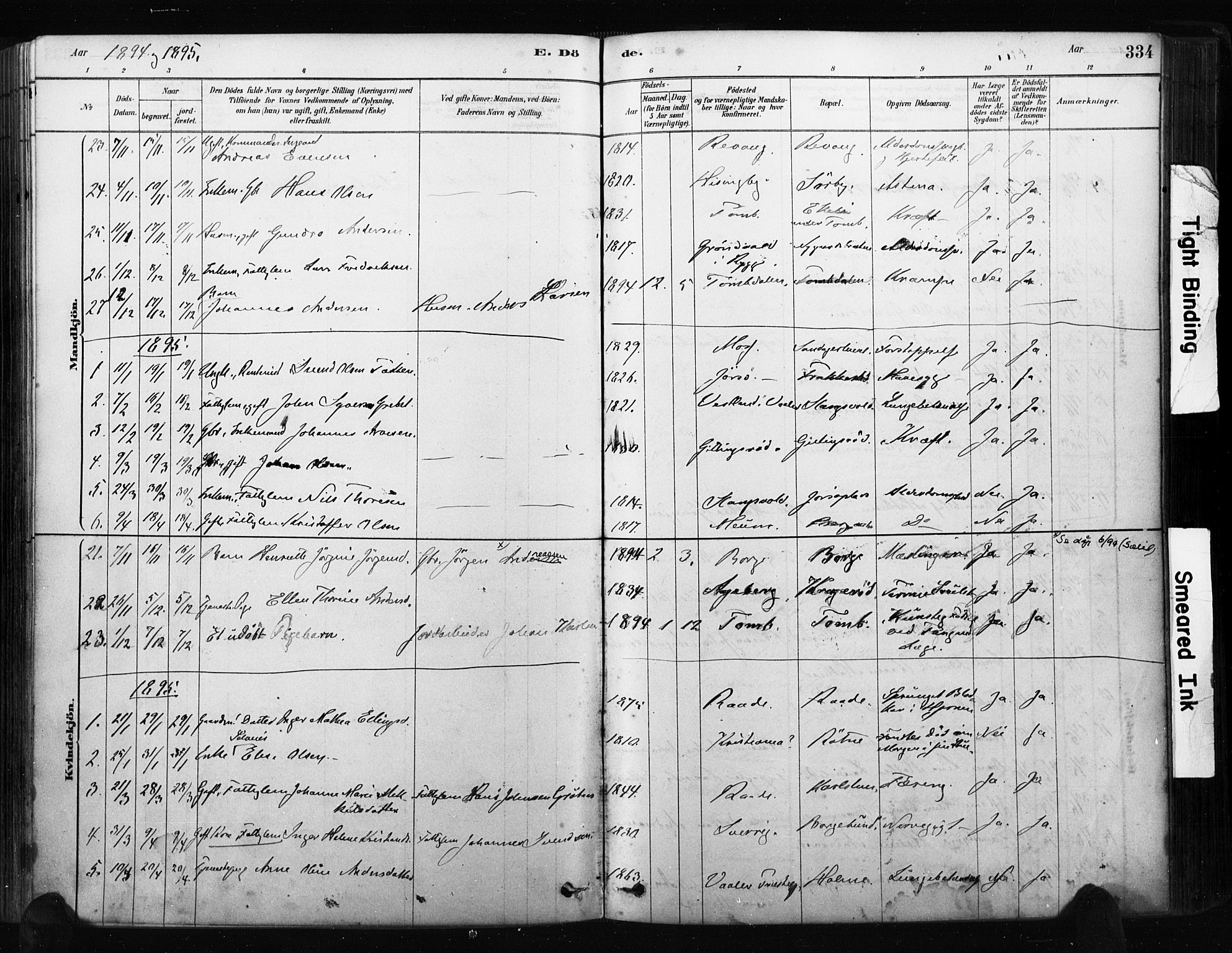 Råde prestekontor kirkebøker, AV/SAO-A-2009/F/Fa/L0007: Parish register (official) no. 7, 1878-1902, p. 334