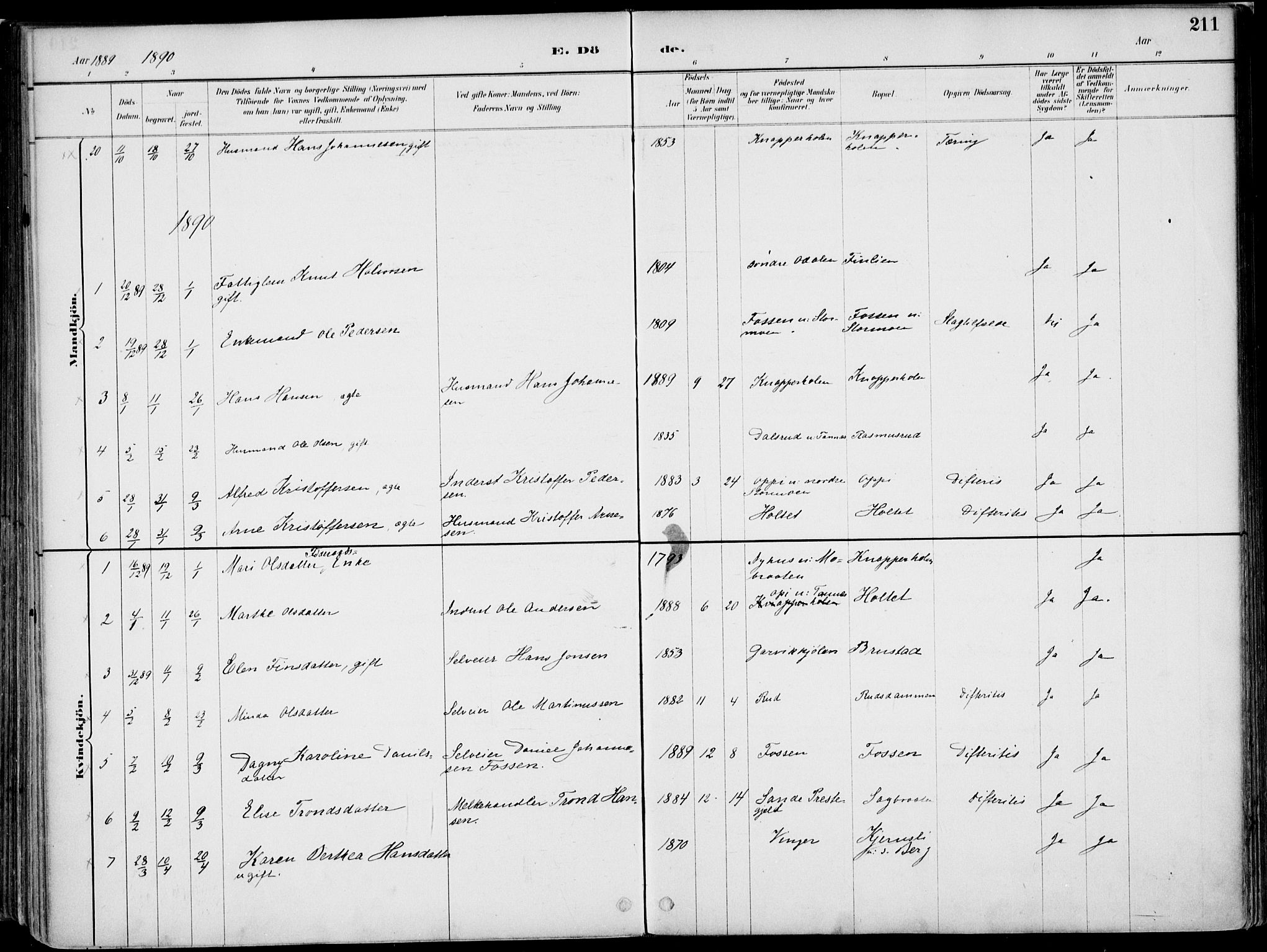 Nord-Odal prestekontor, SAH/PREST-032/H/Ha/Haa/L0008: Parish register (official) no. 8, 1886-1901, p. 211