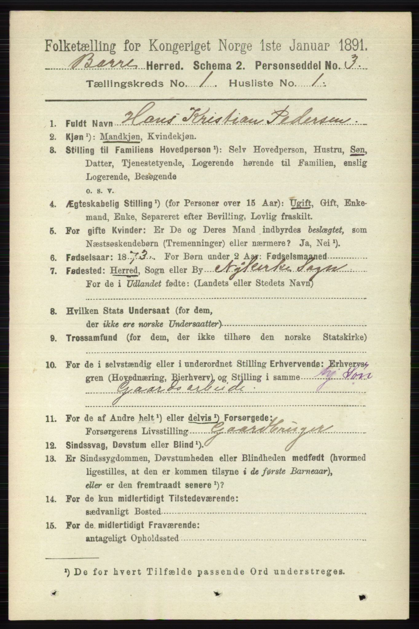 RA, 1891 census for 0717 Borre, 1891, p. 141